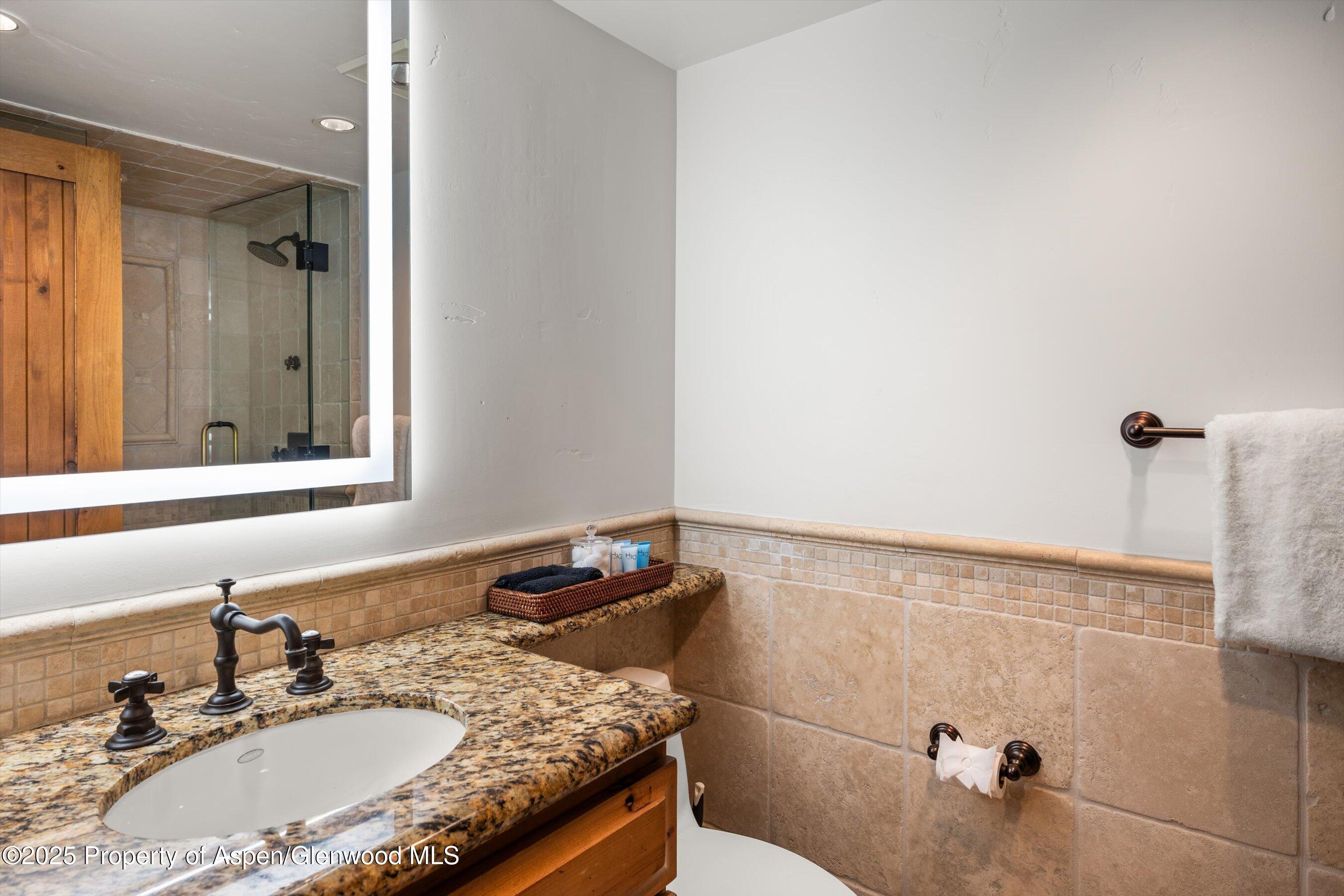 1034 E Cooper Avenue Aspen CO 81611
