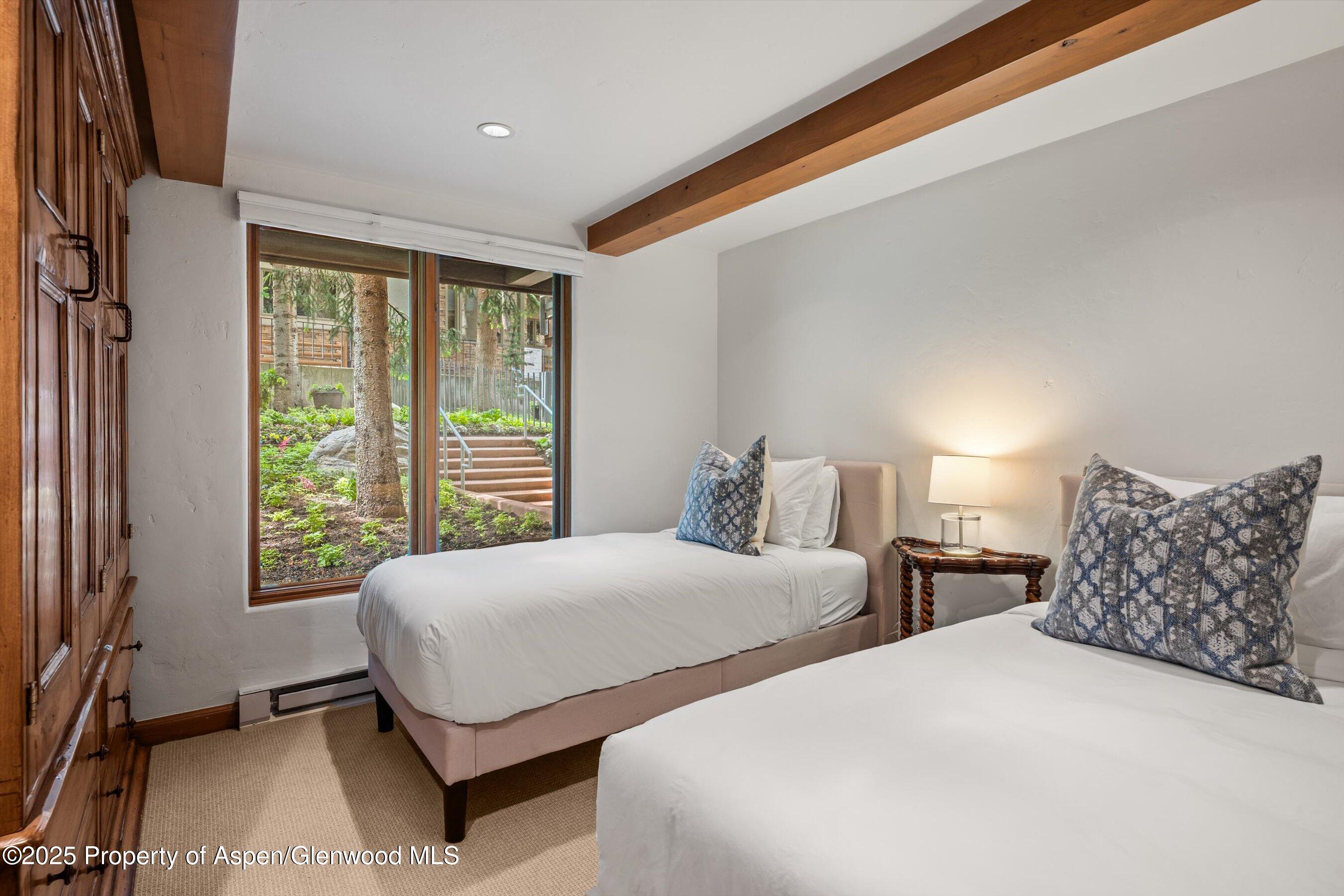 1034 E Cooper Avenue Aspen CO 81611