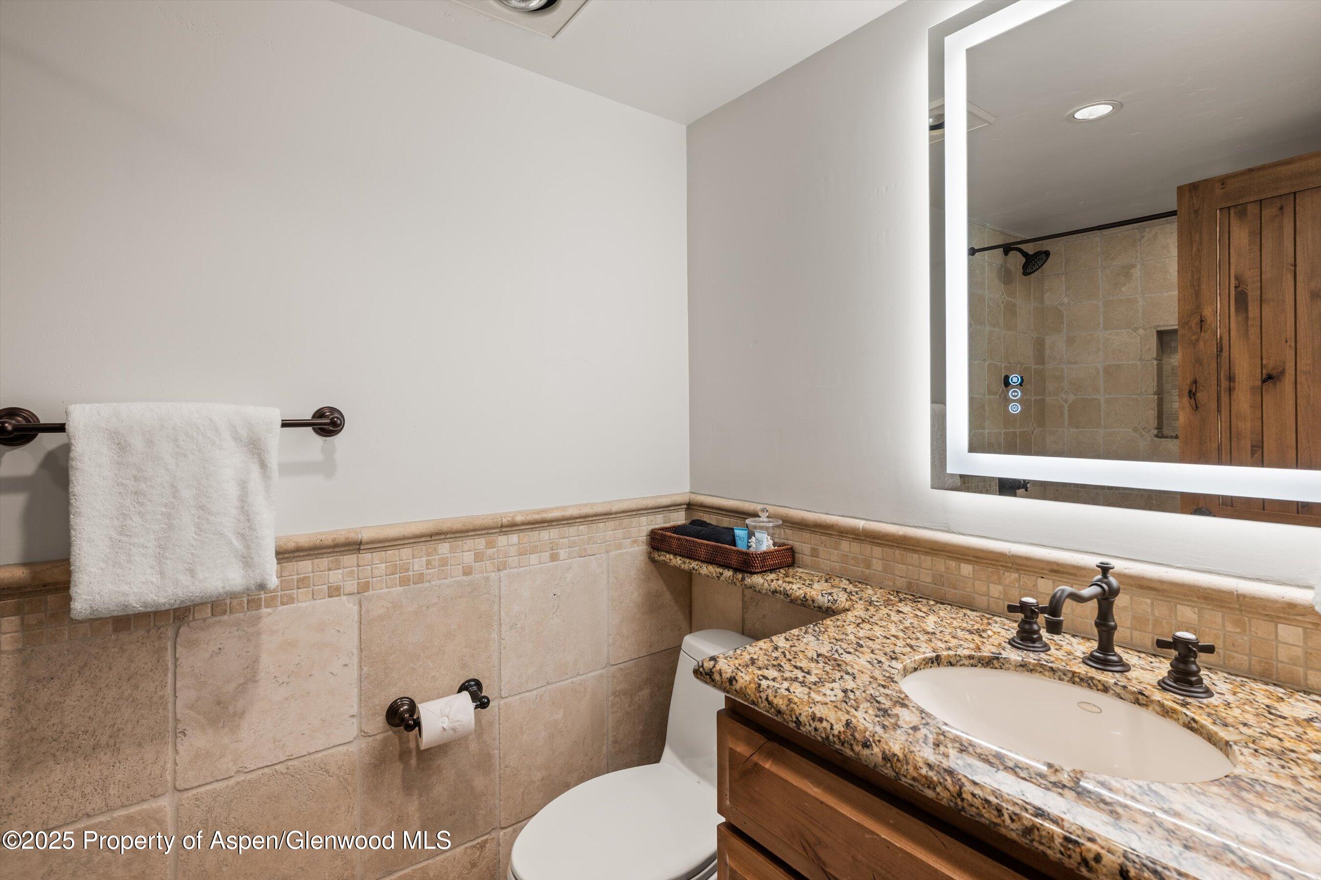 1034 E Cooper Avenue Aspen CO 81611