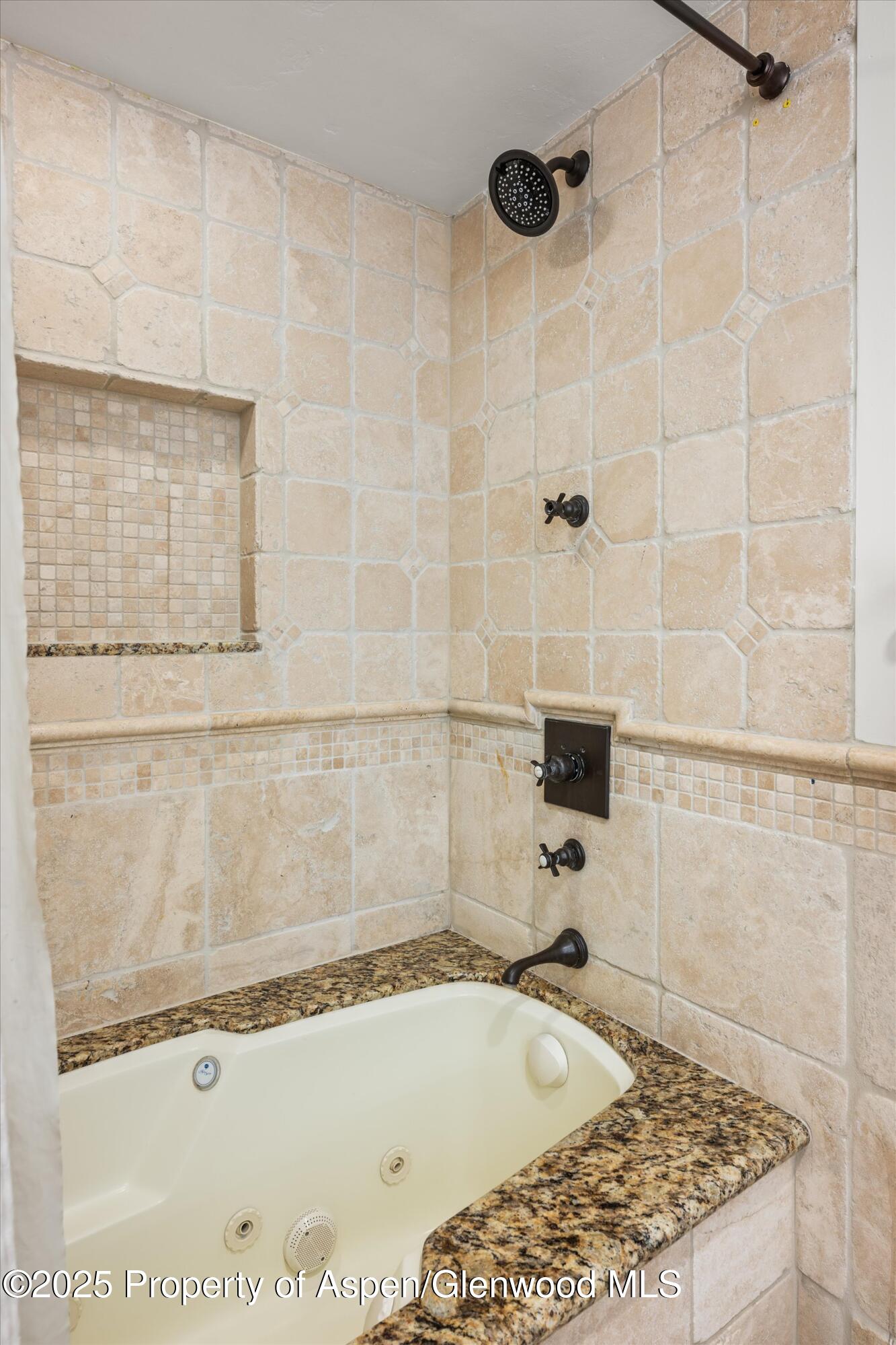 1034 E Cooper Avenue Aspen CO 81611