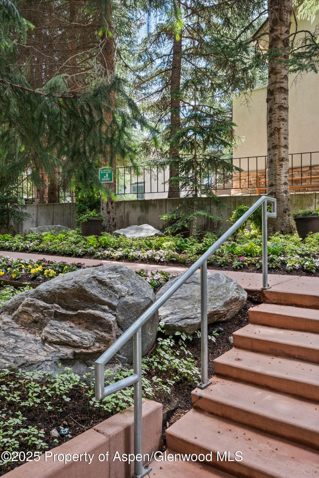 1034 E Cooper Avenue Aspen CO 81611