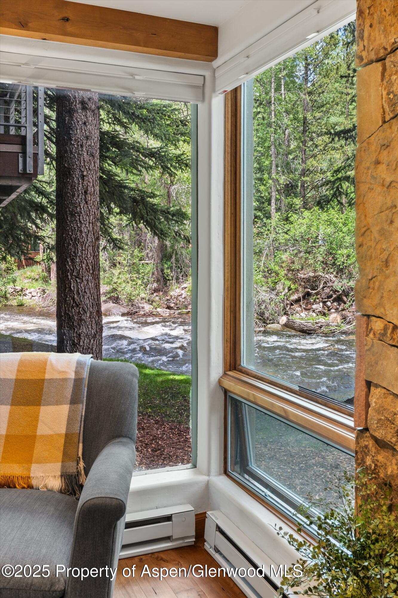 1034 E Cooper Avenue Aspen CO 81611