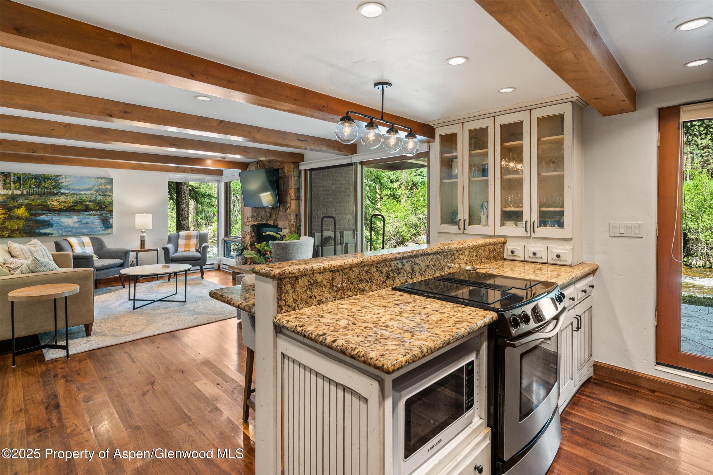 1034 E Cooper Avenue Aspen CO 81611