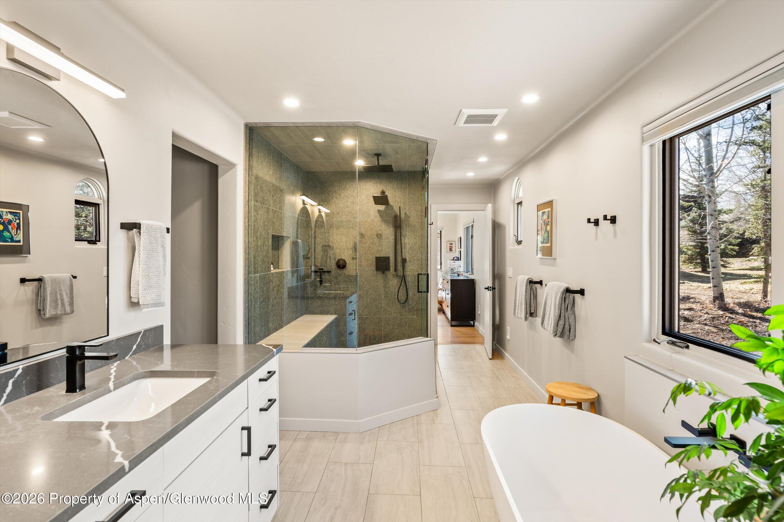 90 Alexander Avenue Snowmass CO 81654