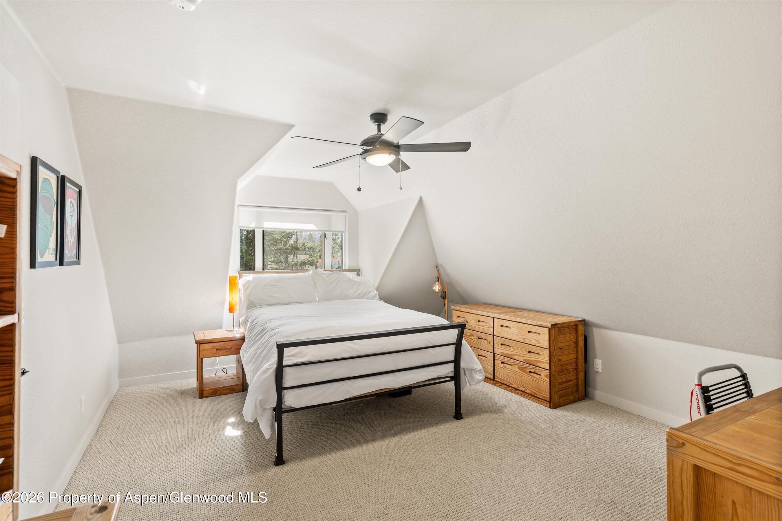 90 Alexander Avenue Snowmass CO 81654