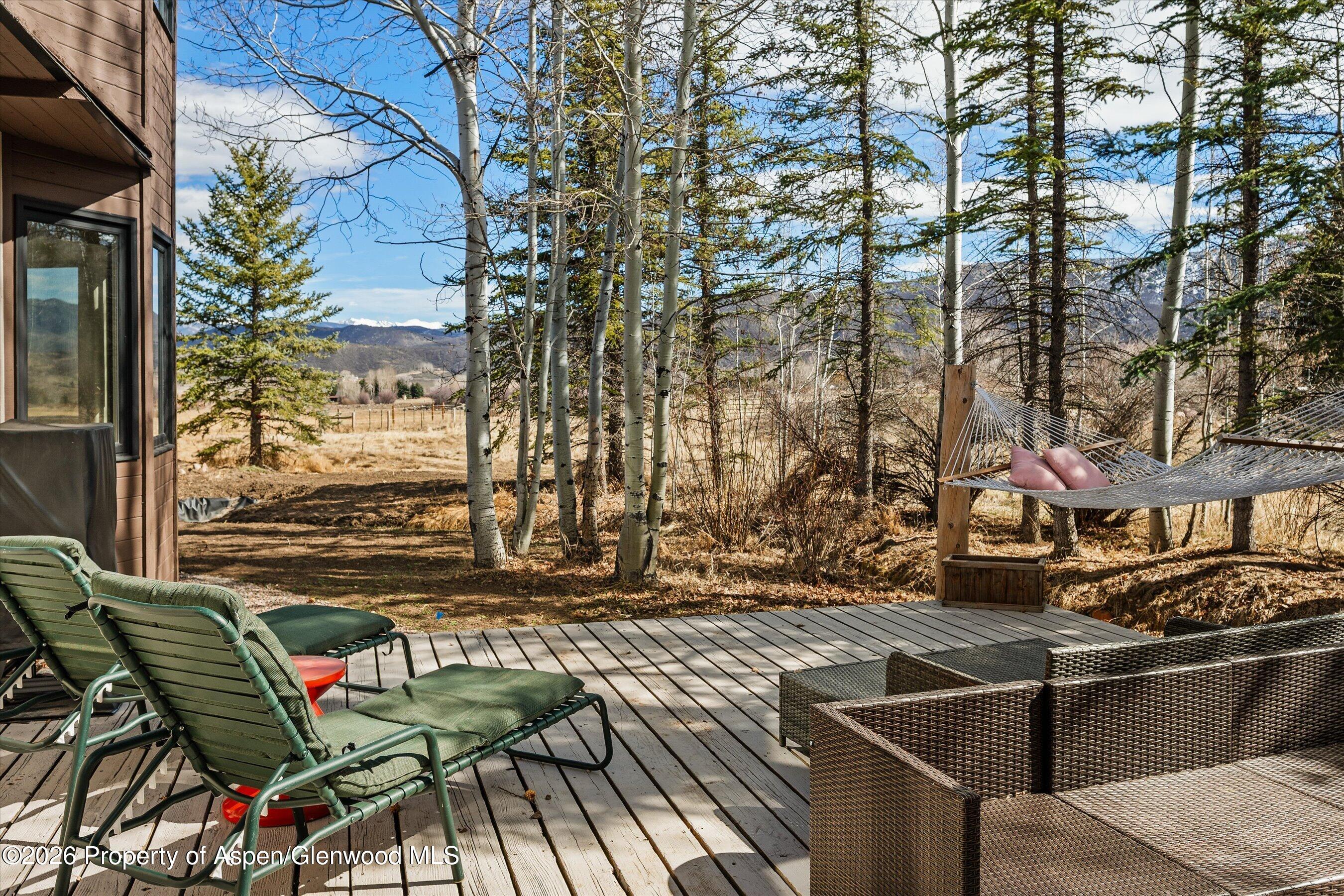 90 Alexander Avenue Snowmass CO 81654