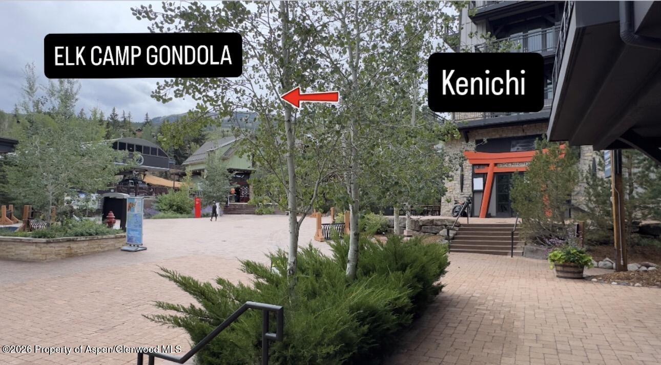 90 Carriage Way Snowmass Village CO 81615