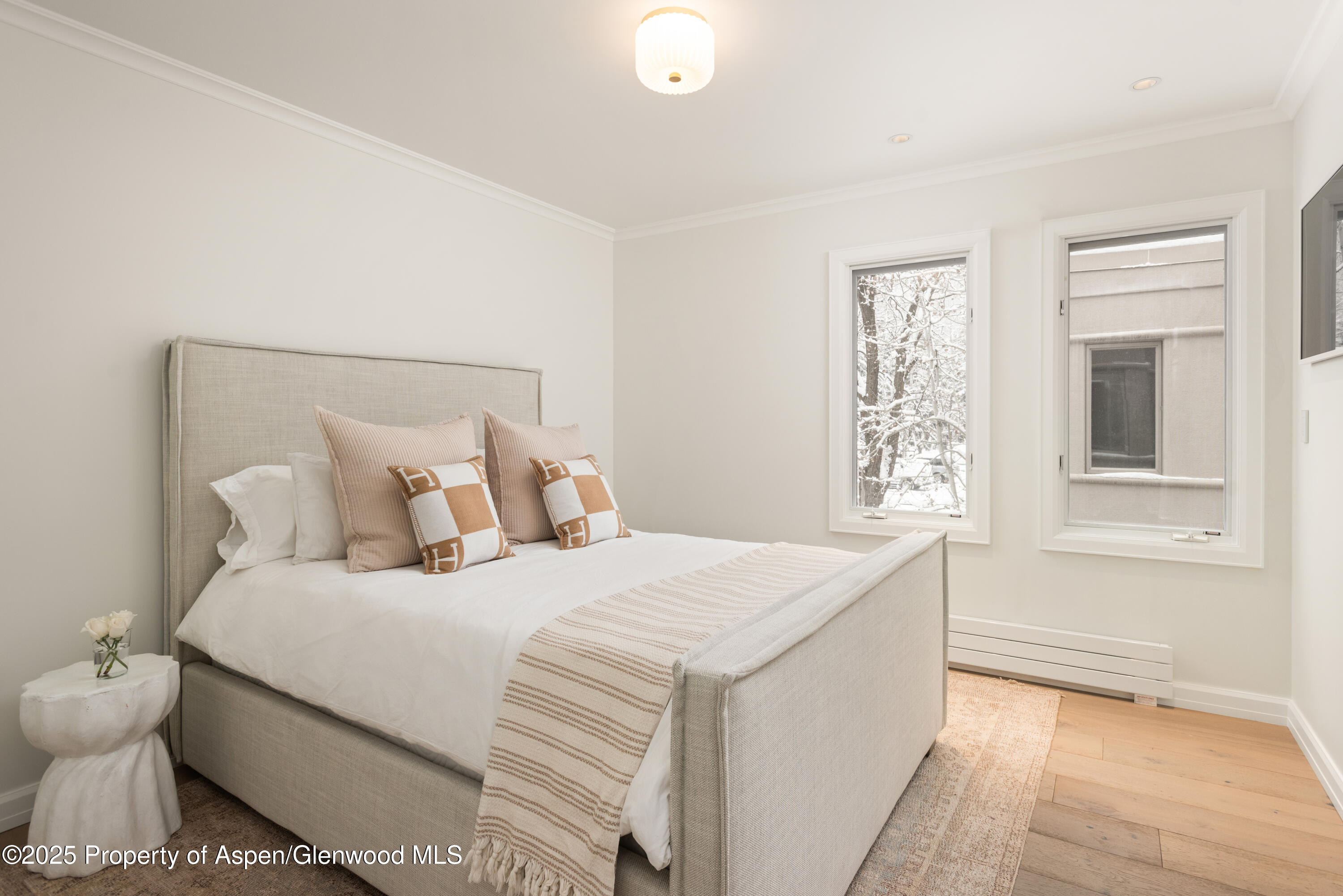 814 W Bleeker Street Aspen CO 81611