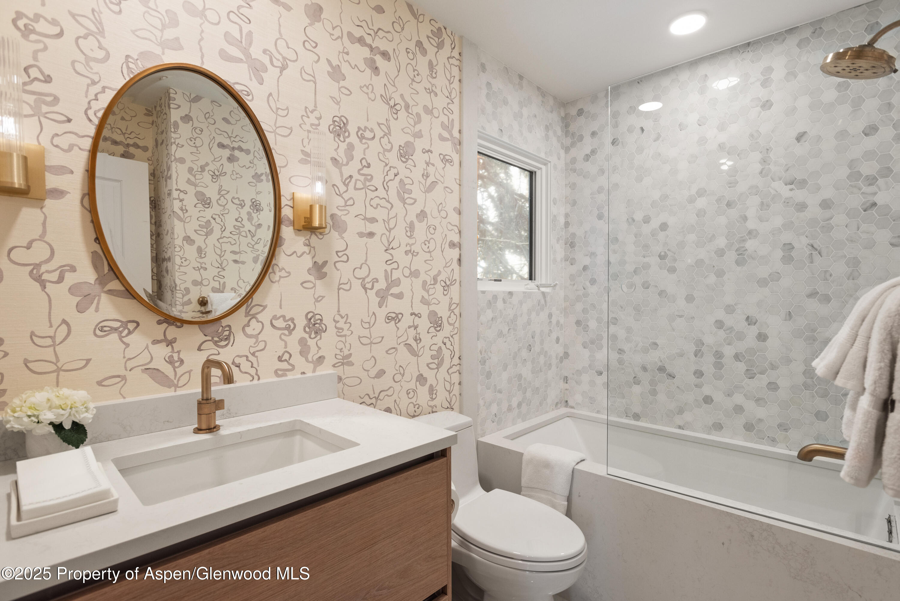 814 W Bleeker Street Aspen CO 81611