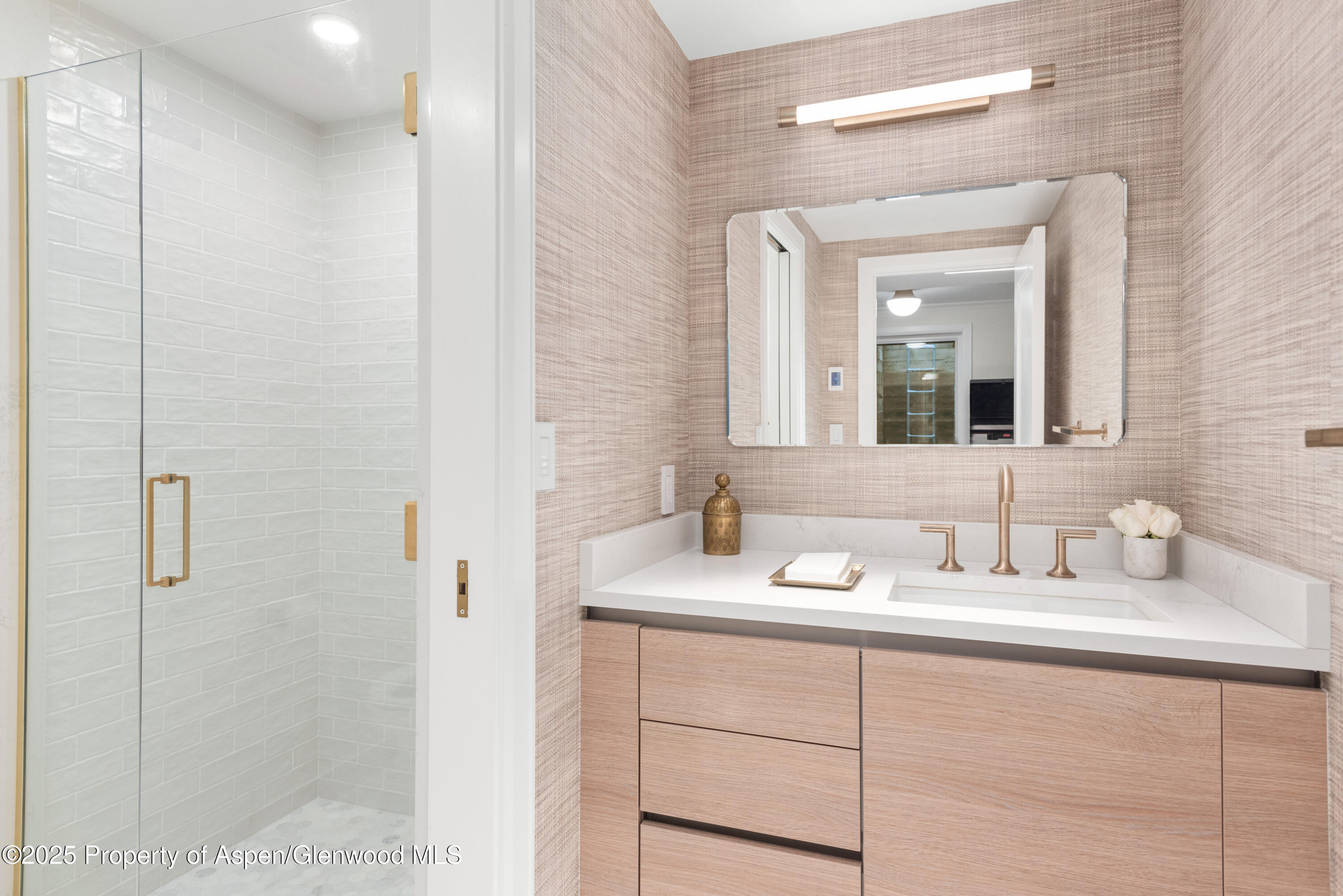 814 W Bleeker Street Aspen CO 81611