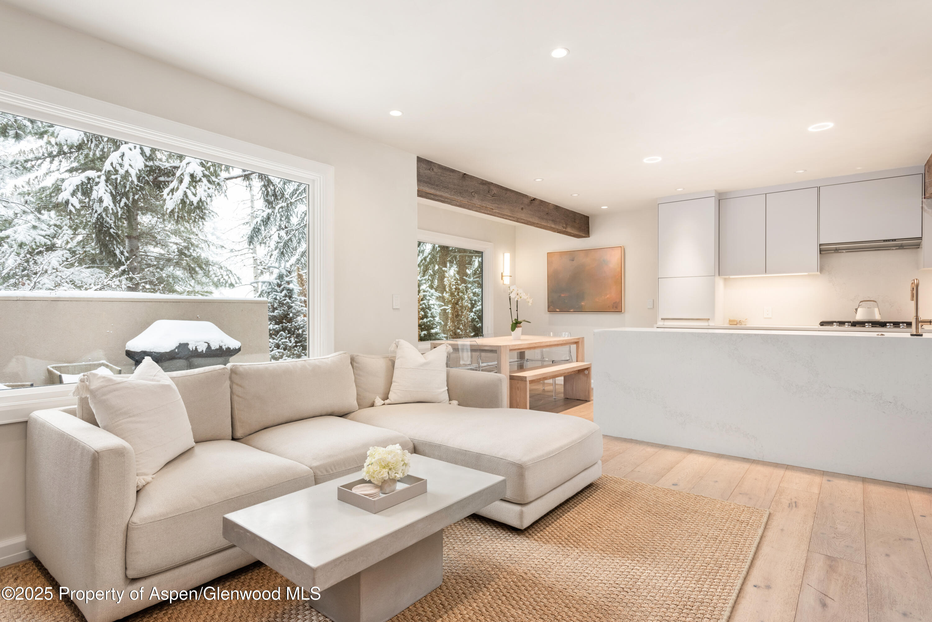 814 W Bleeker Street Aspen CO 81611