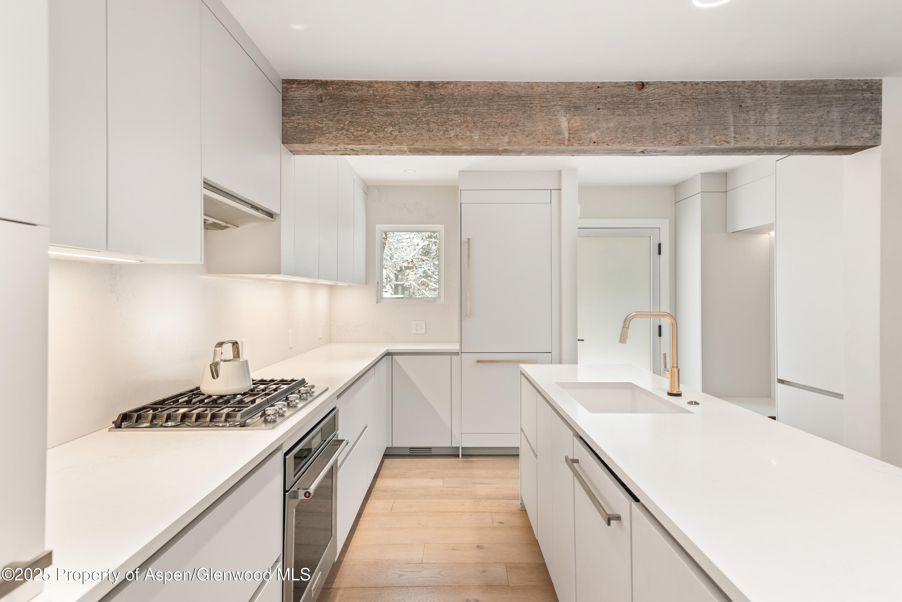 814 W Bleeker Street Aspen CO 81611