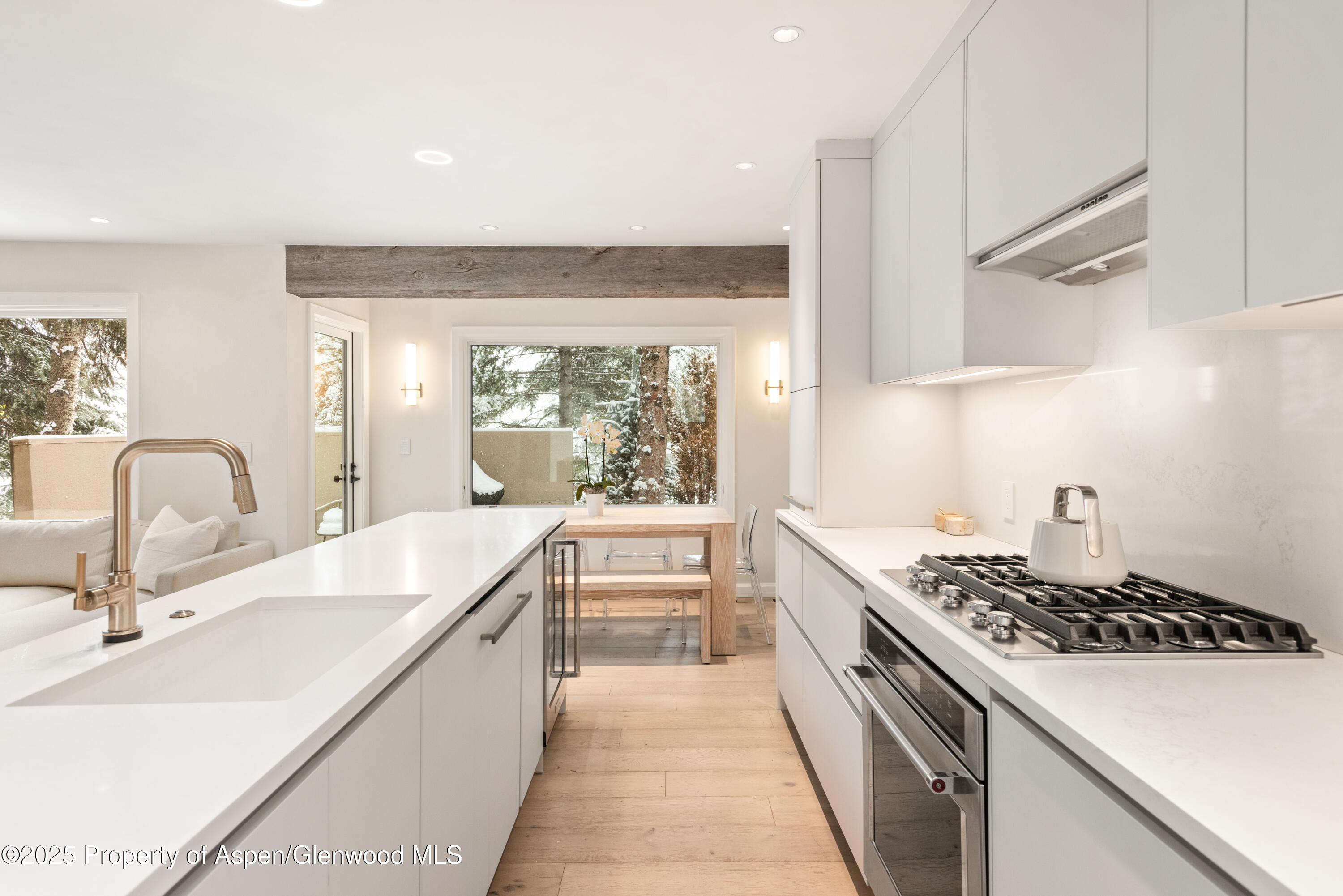 814 W Bleeker Street Aspen CO 81611