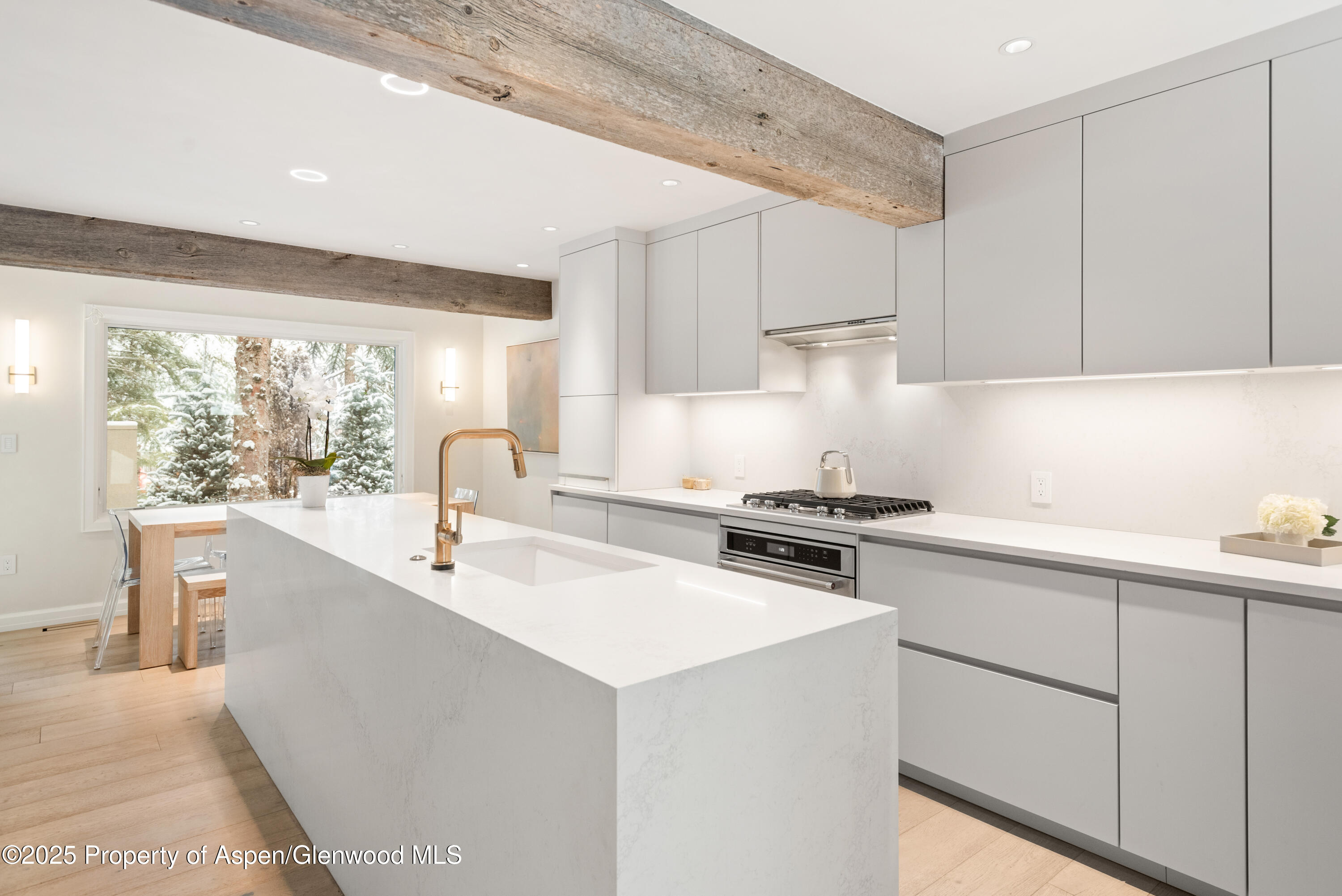 814 W Bleeker Street Aspen CO 81611