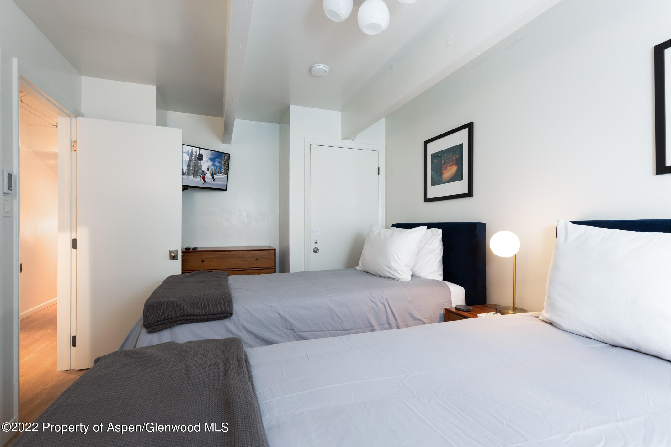 731 E Durant Avenue Aspen CO 81611