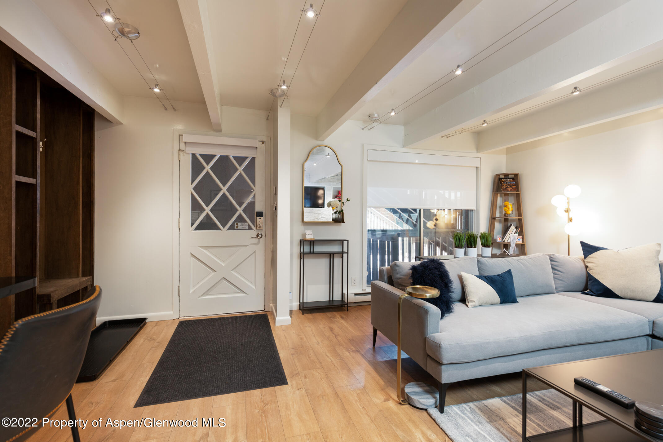 731 E Durant Avenue Aspen CO 81611