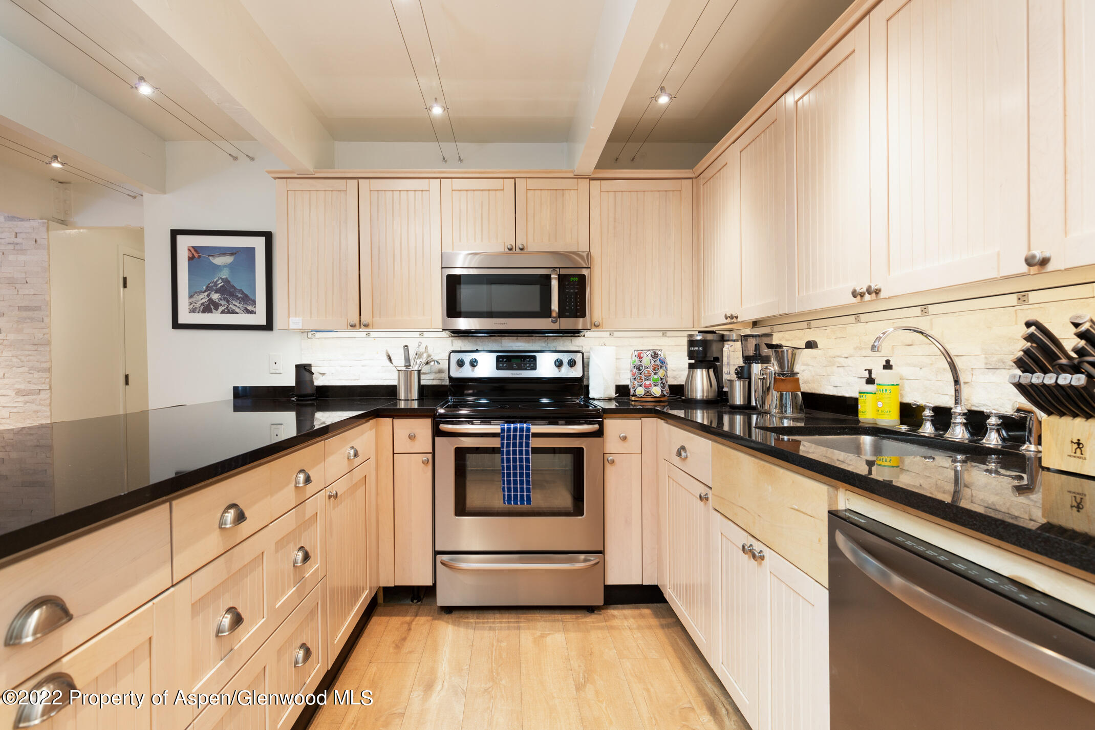 731 E Durant Avenue Aspen CO 81611