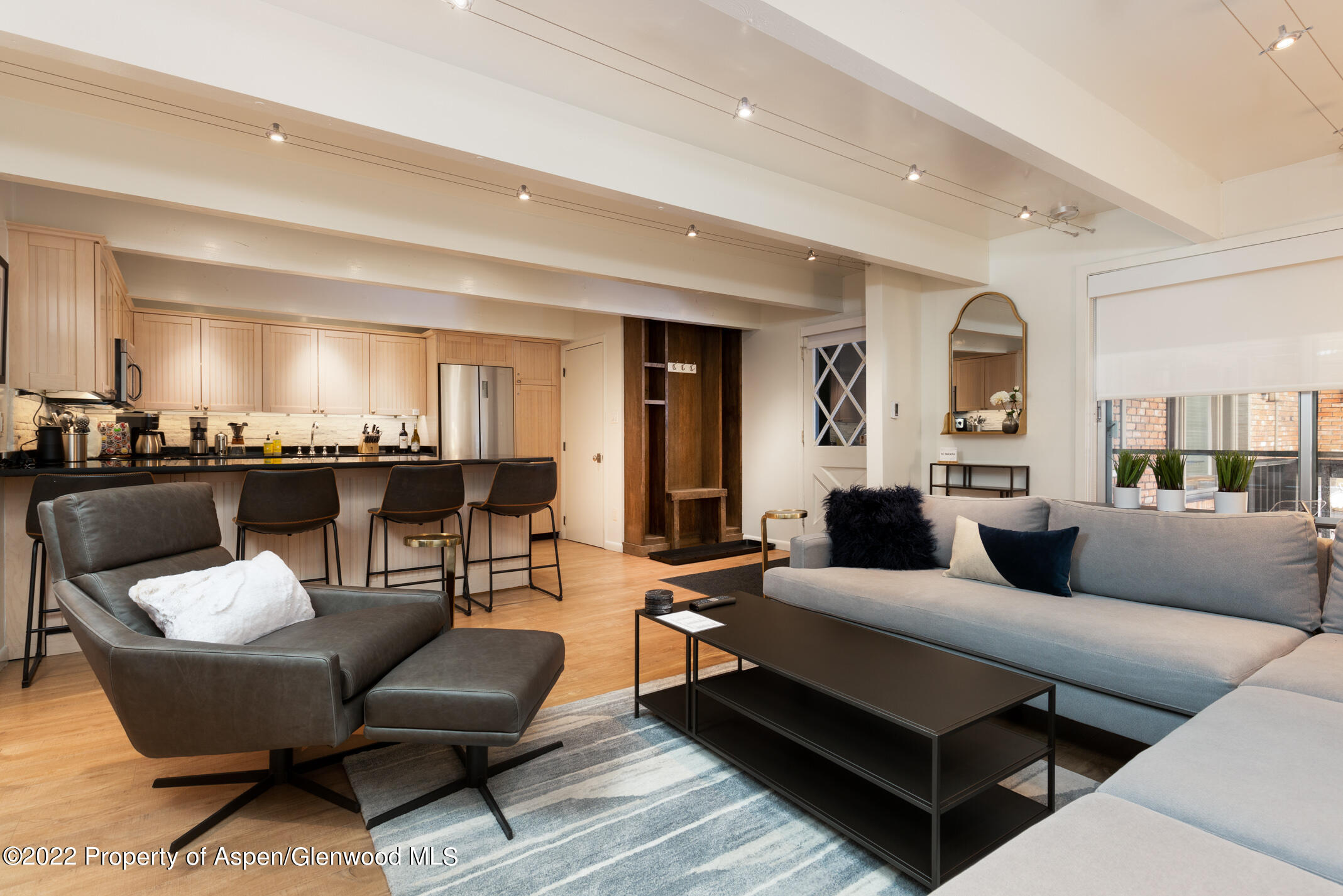 731 E Durant Avenue Aspen CO 81611