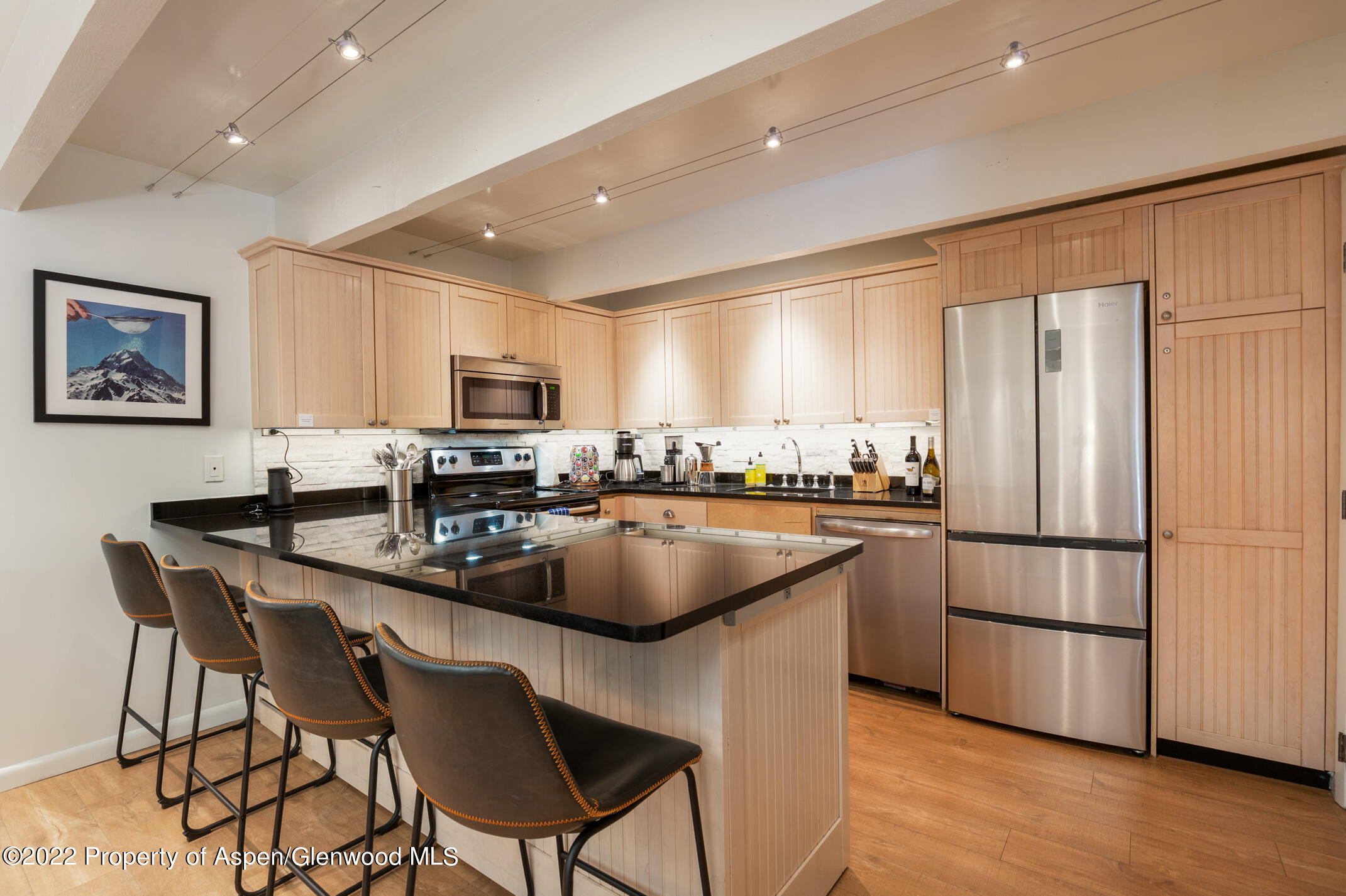 731 E Durant Avenue Aspen CO 81611