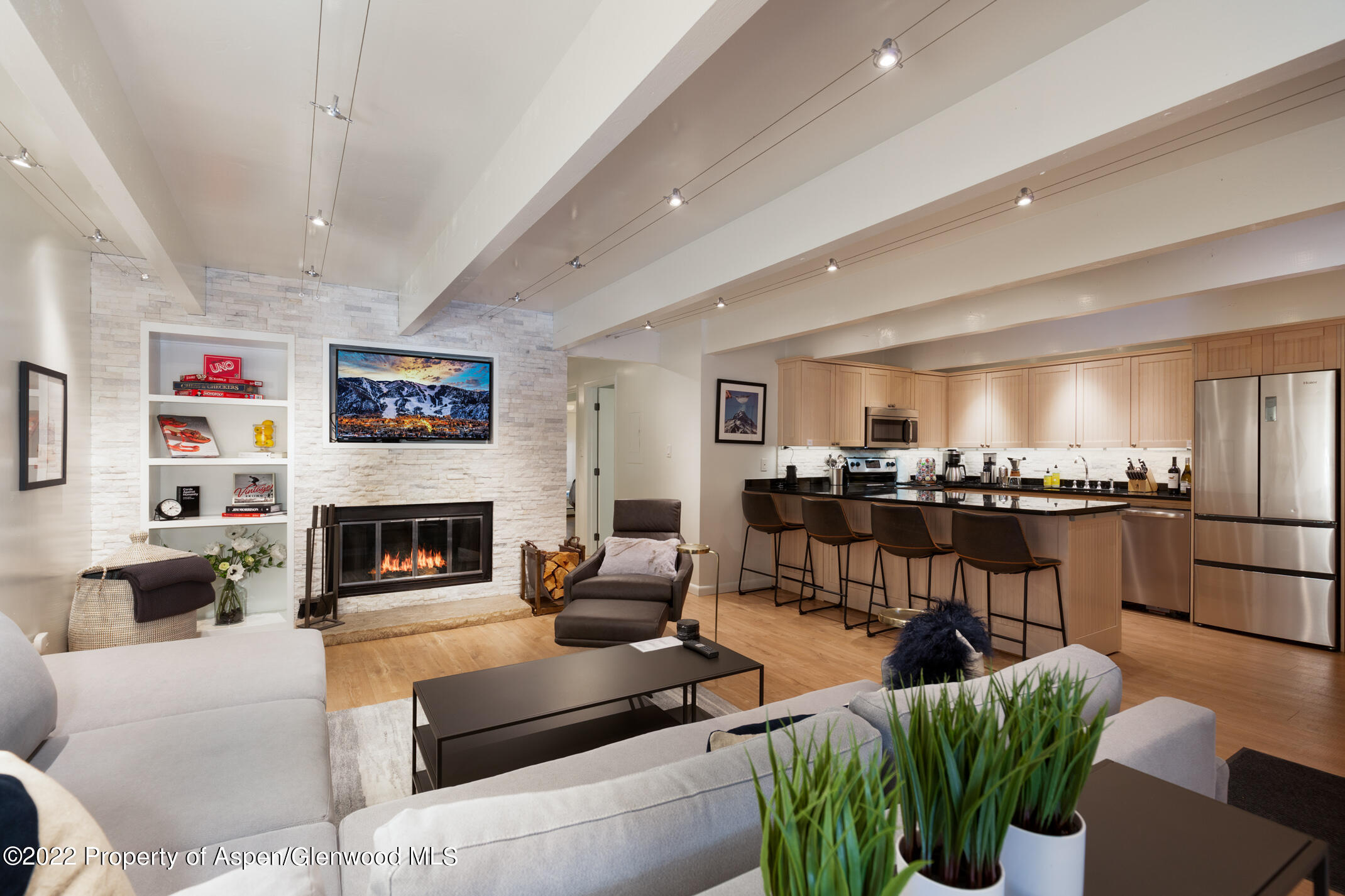 731 E Durant Avenue Aspen CO 81611