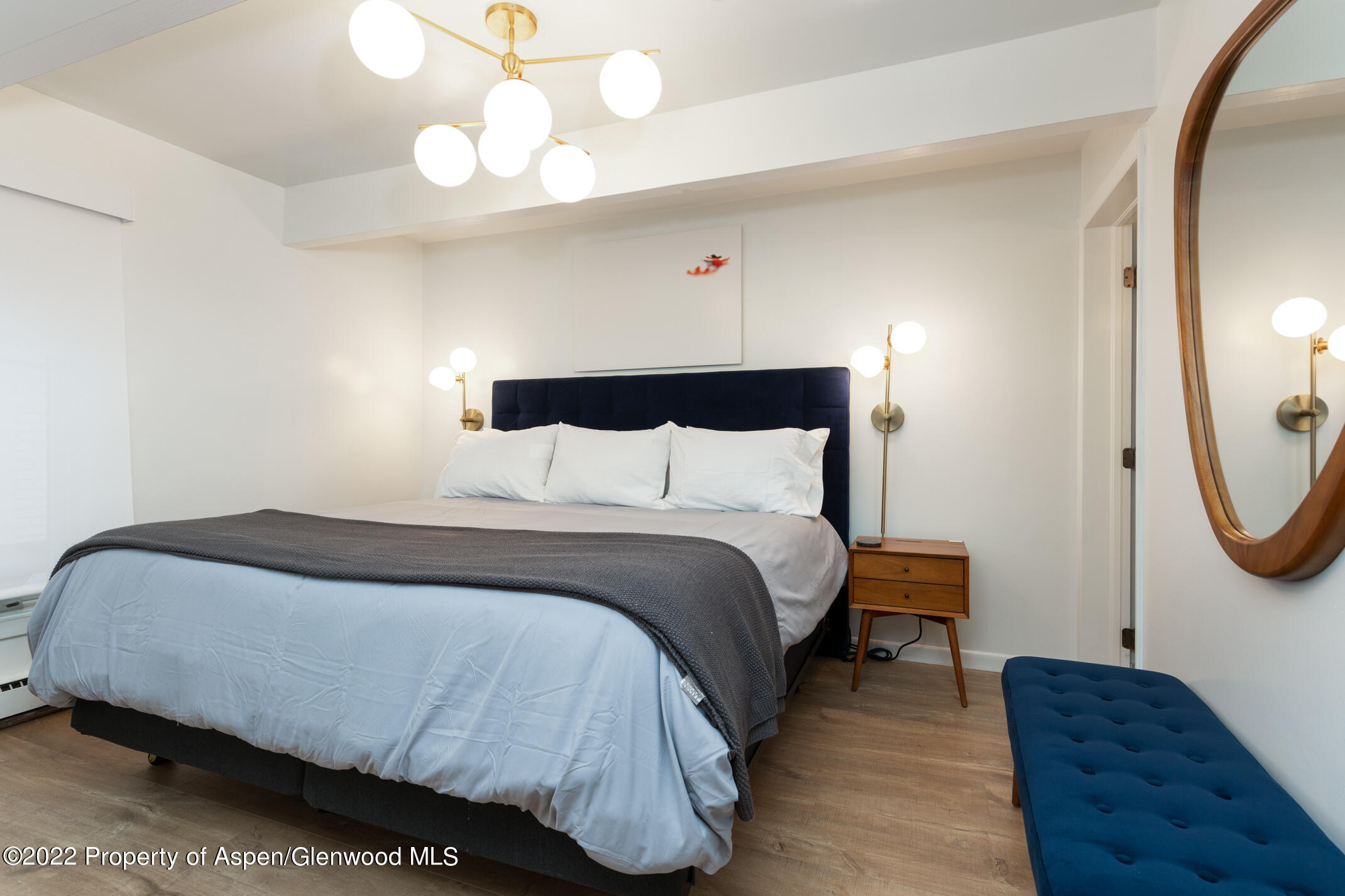 731 E Durant Avenue Aspen CO 81611