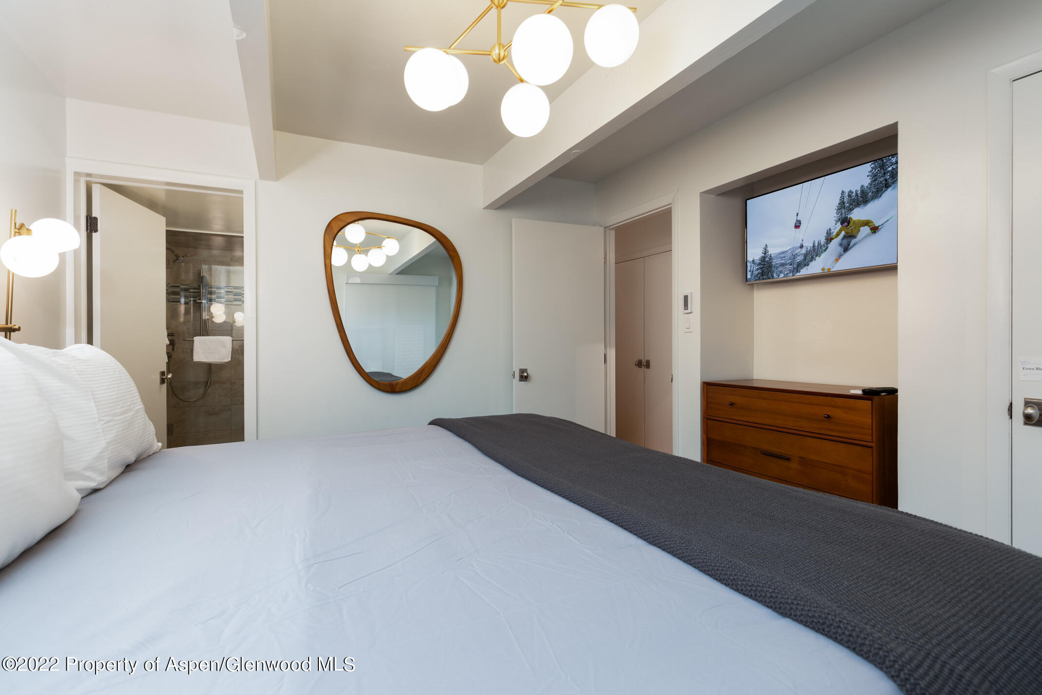 731 E Durant Avenue Aspen CO 81611