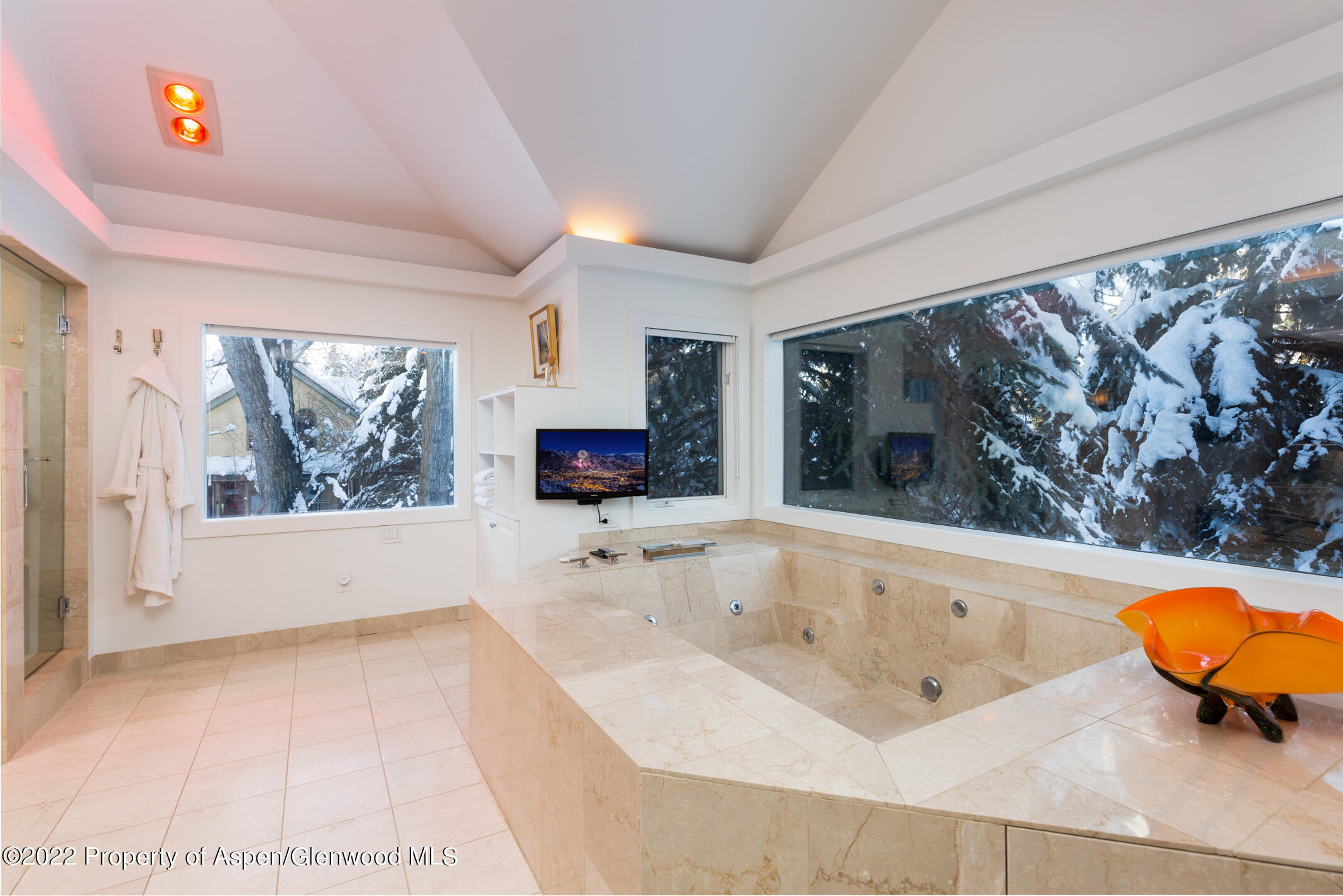 437 W Smuggler Street Aspen CO 81611