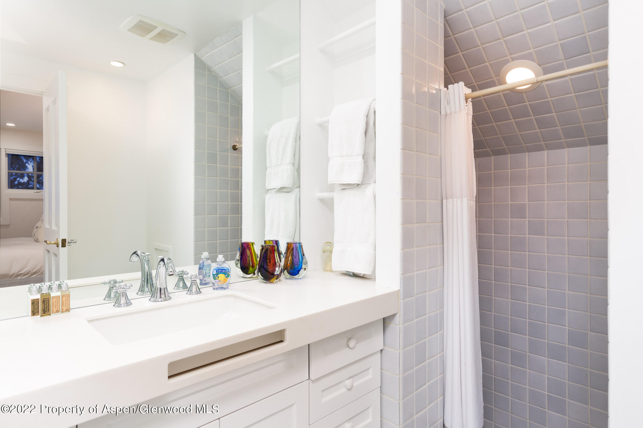 437 W Smuggler Street Aspen CO 81611