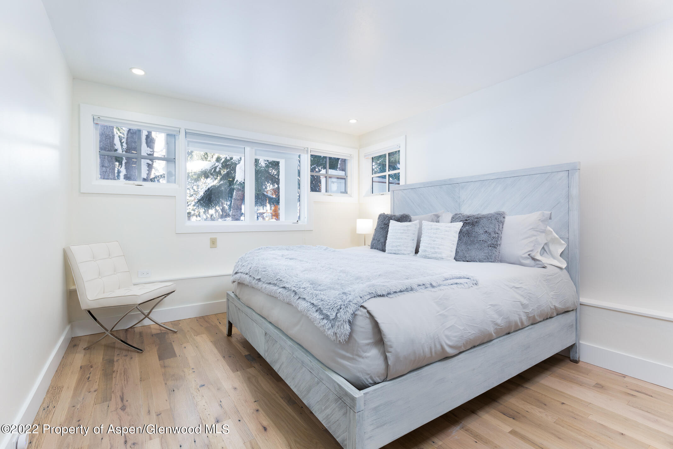 437 W Smuggler Street Aspen CO 81611
