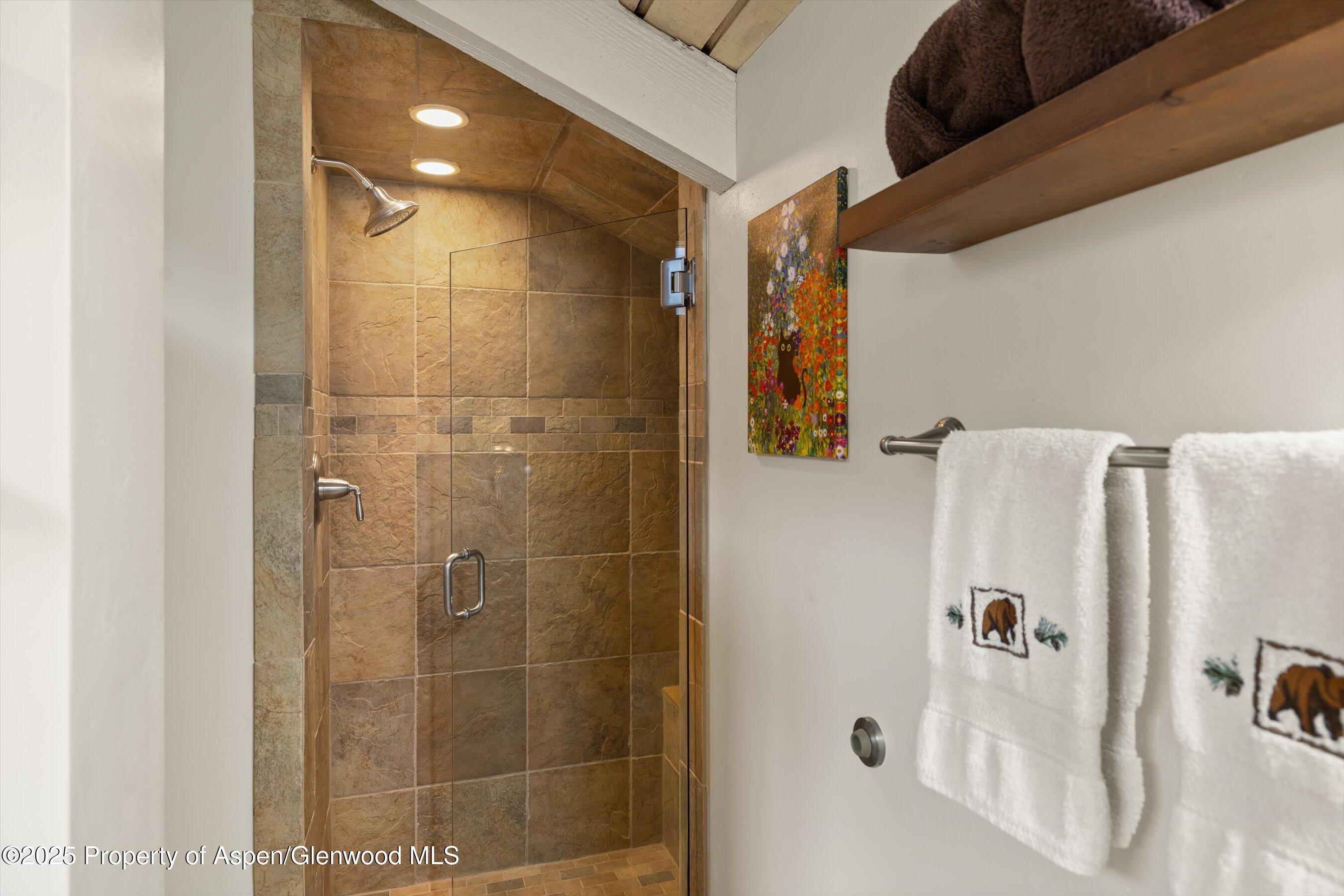 35 Lower Woodbridge Road Snowmass Village CO 81615