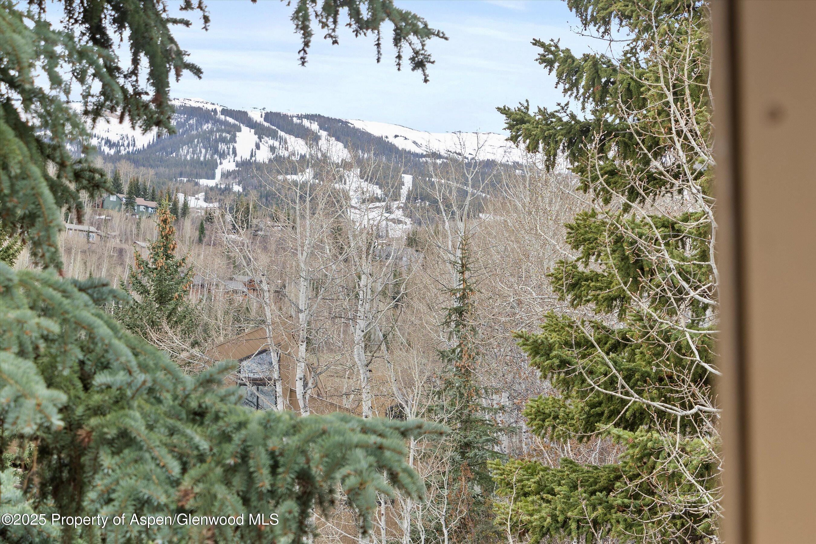 35 Lower Woodbridge Road Snowmass Village CO 81615