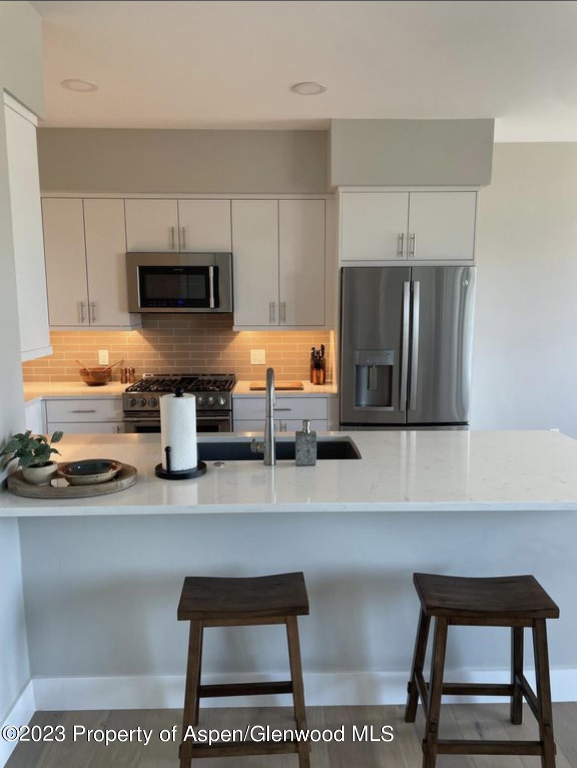213 Lewies Circle Carbondale CO 81623