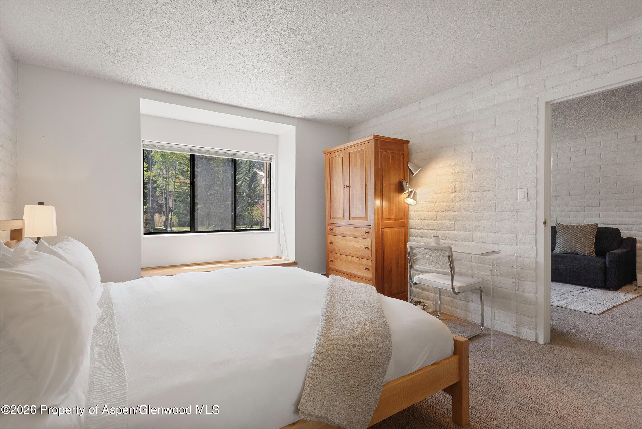 425 Vine Street Aspen CO 81611