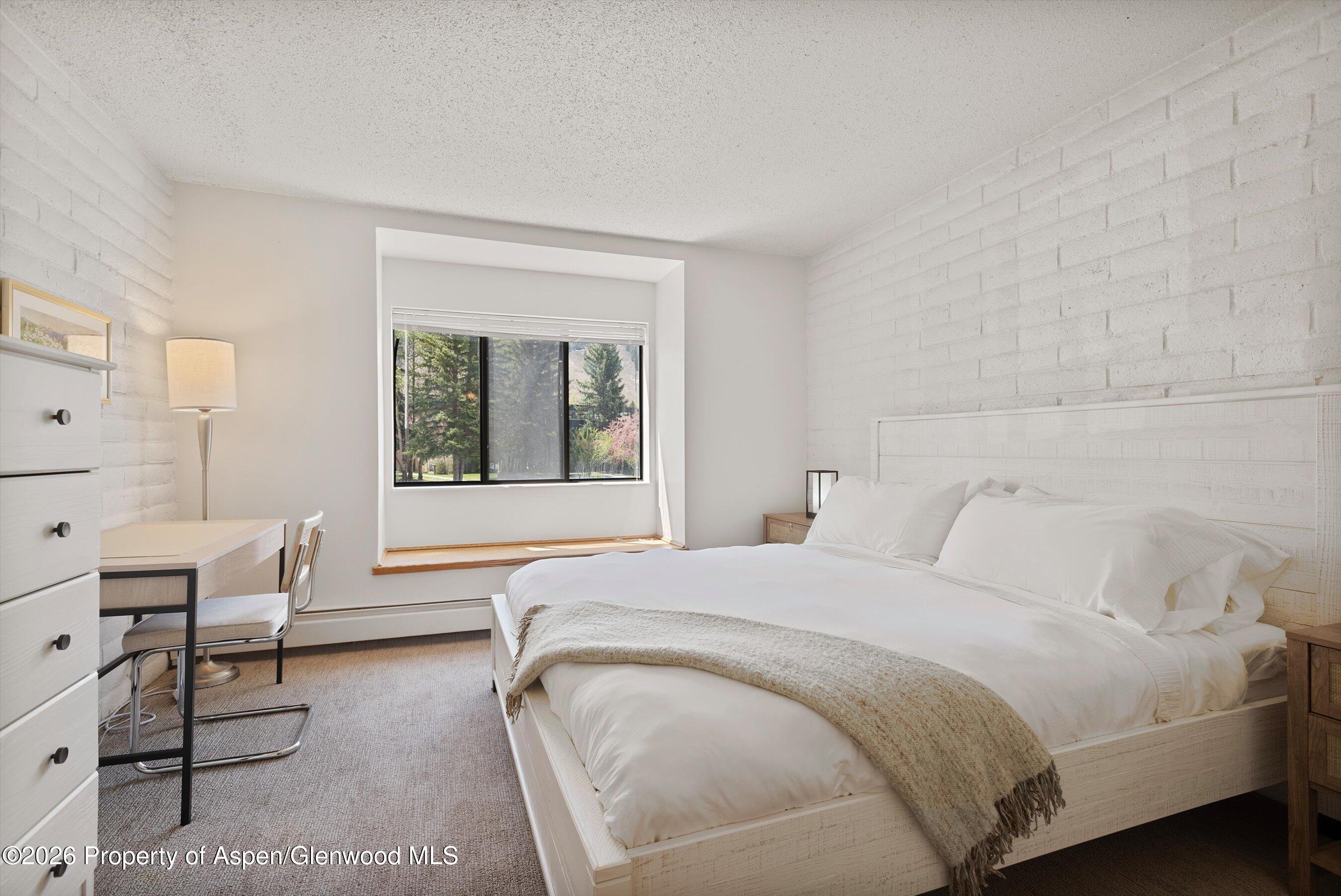 425 Vine Street Aspen CO 81611