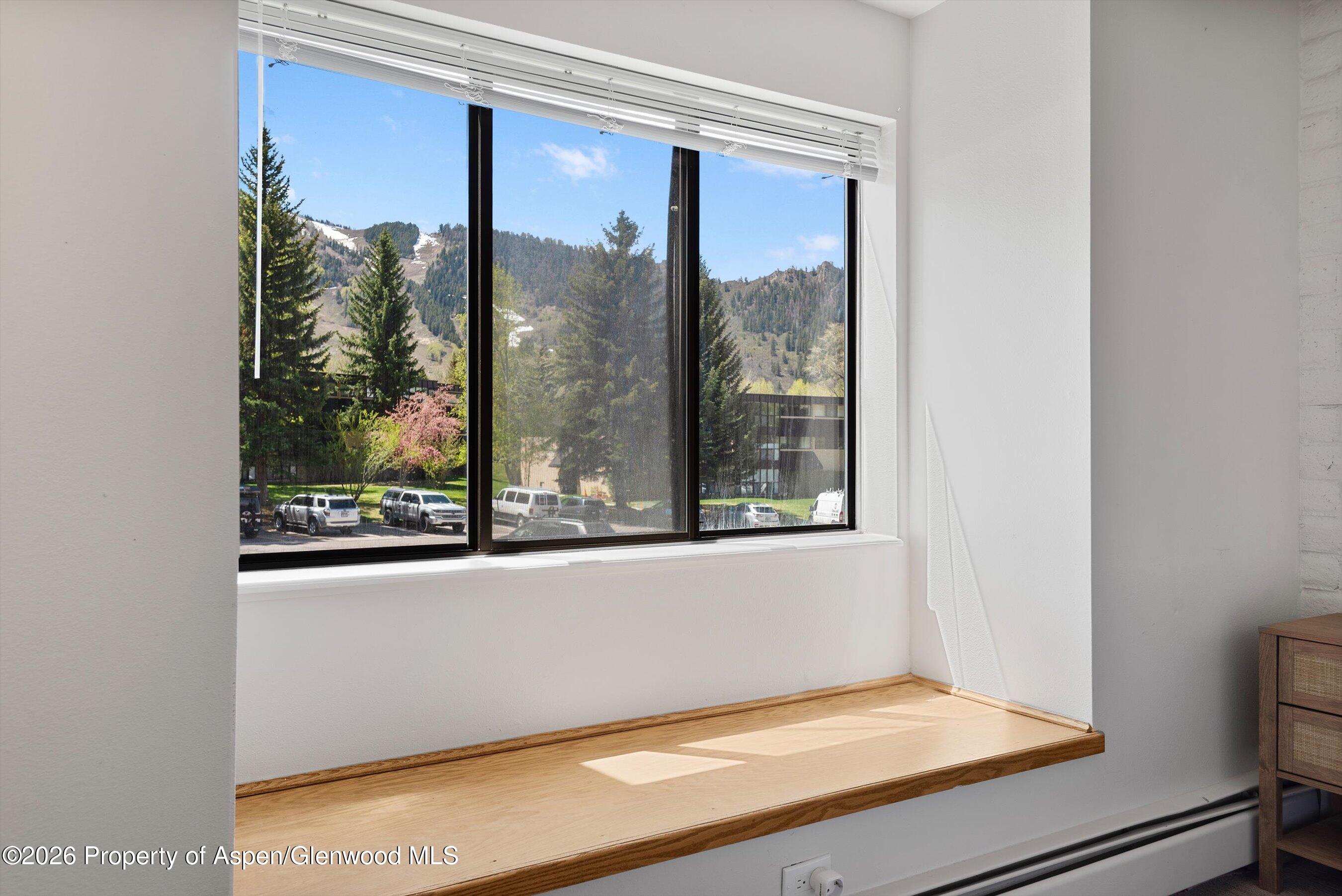 425 Vine Street Aspen CO 81611