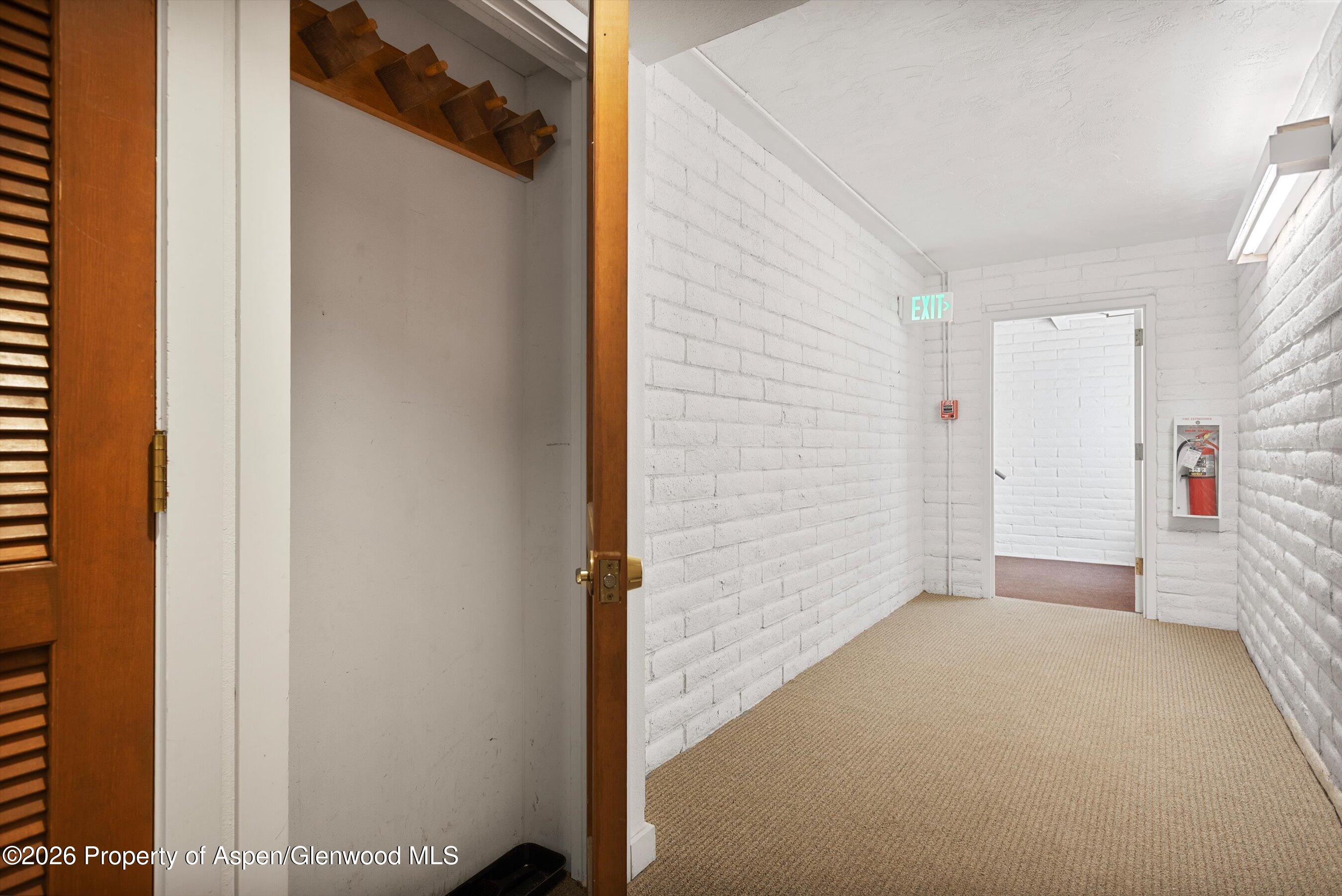 425 Vine Street Aspen CO 81611