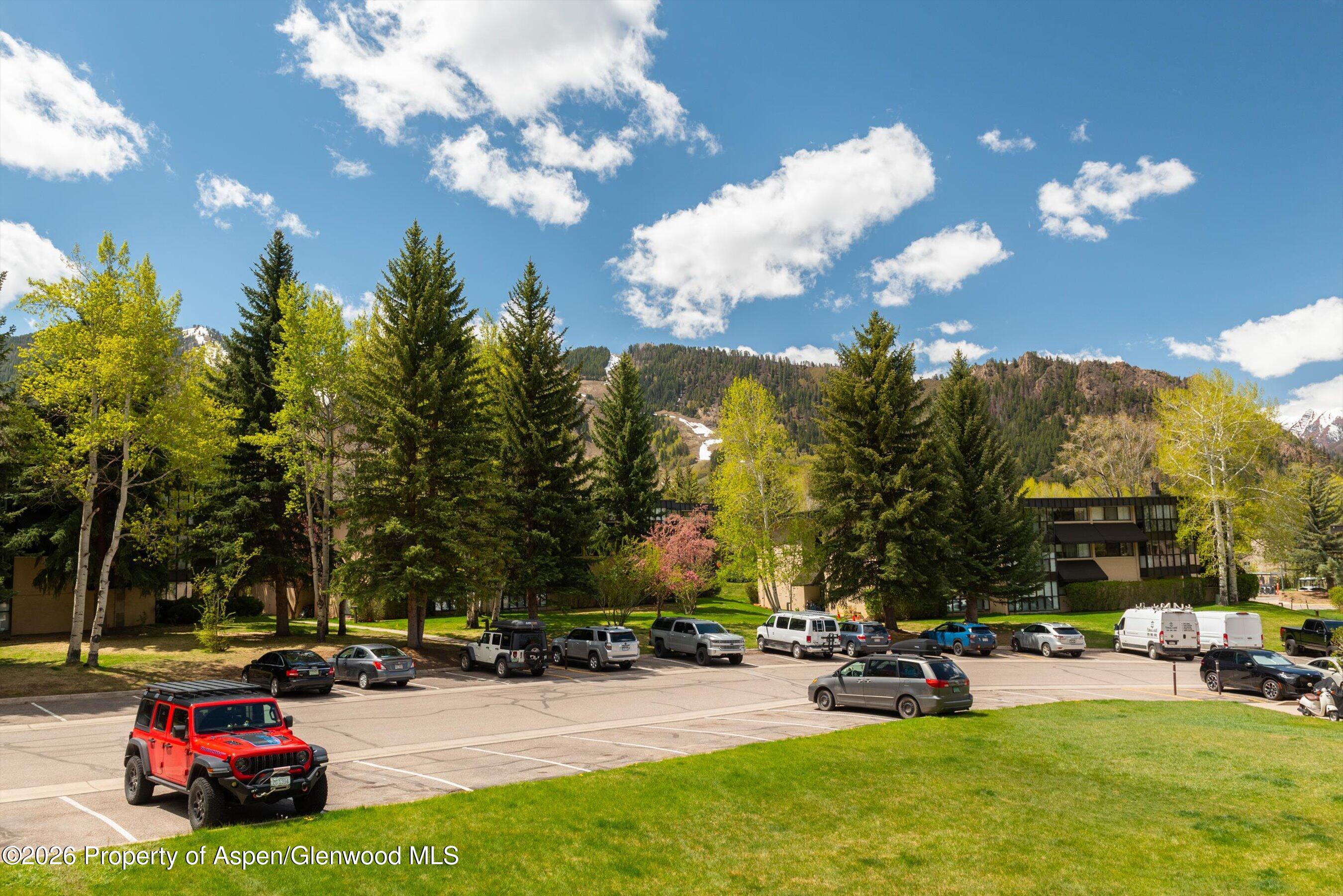 425 Vine Street Aspen CO 81611