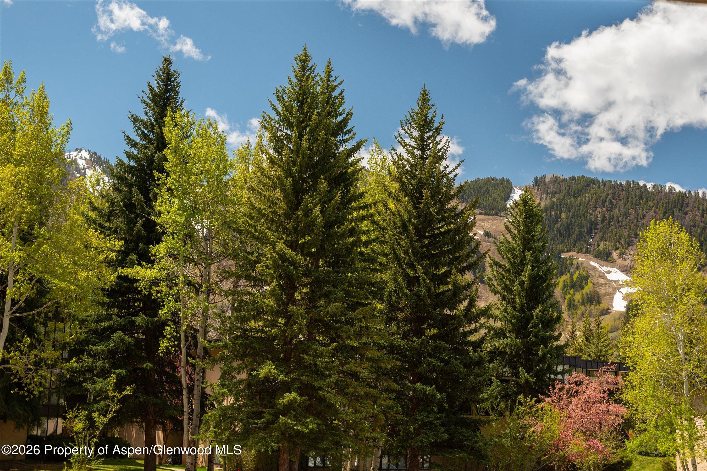 425 Vine Street Aspen CO 81611