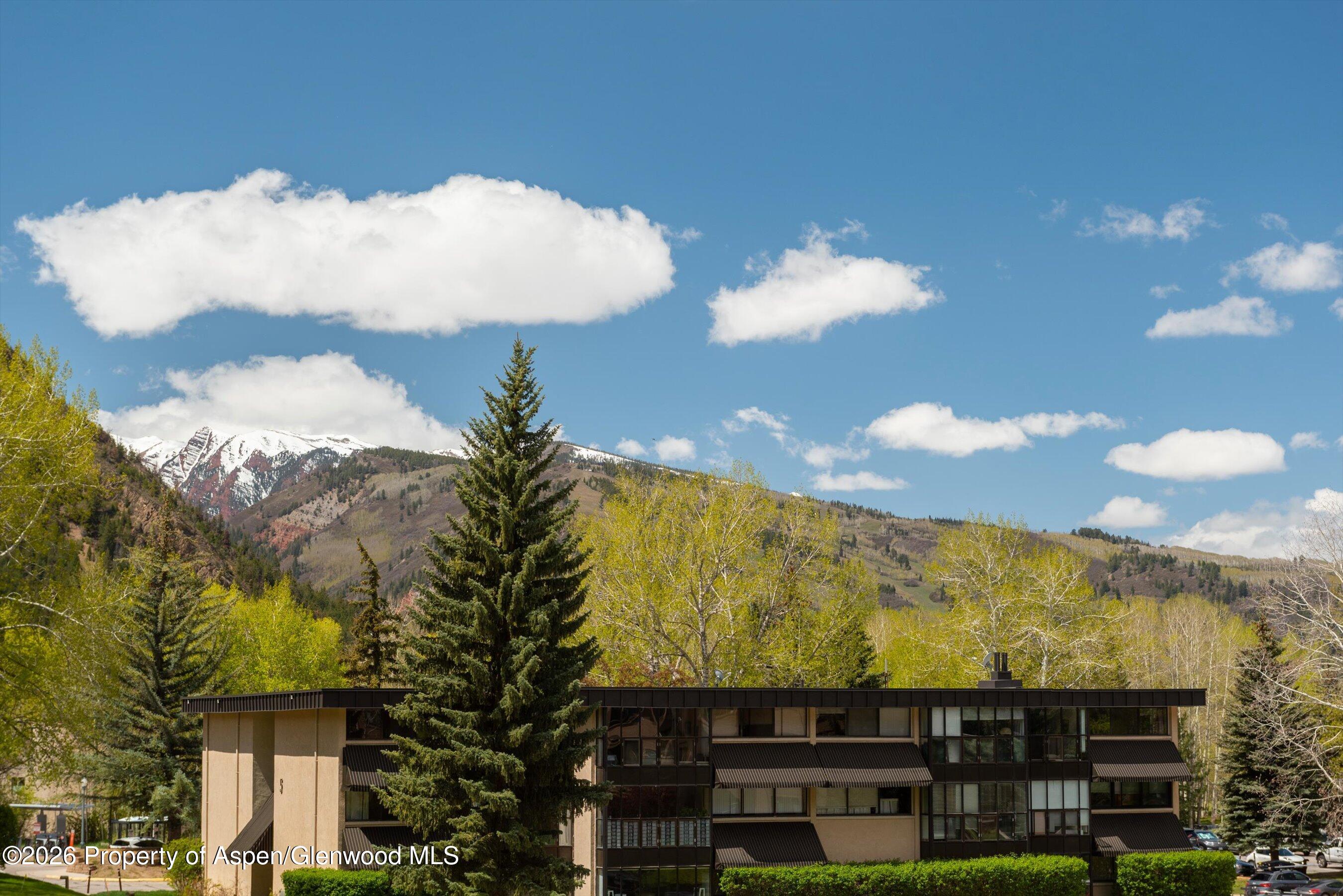 425 Vine Street Aspen CO 81611