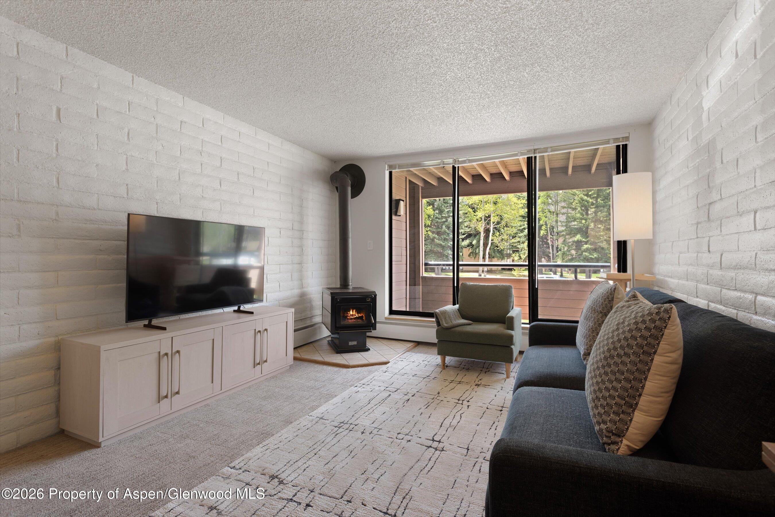 425 Vine Street Aspen CO 81611