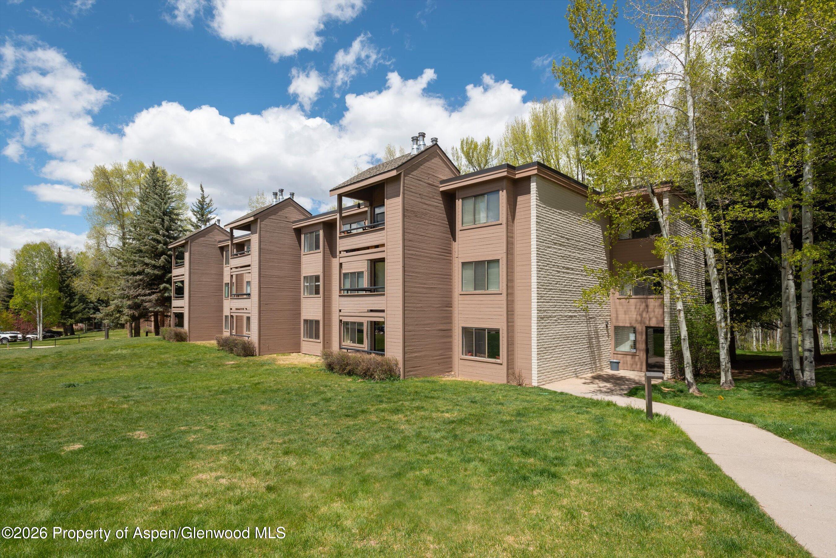 425 Vine Street Aspen CO 81611