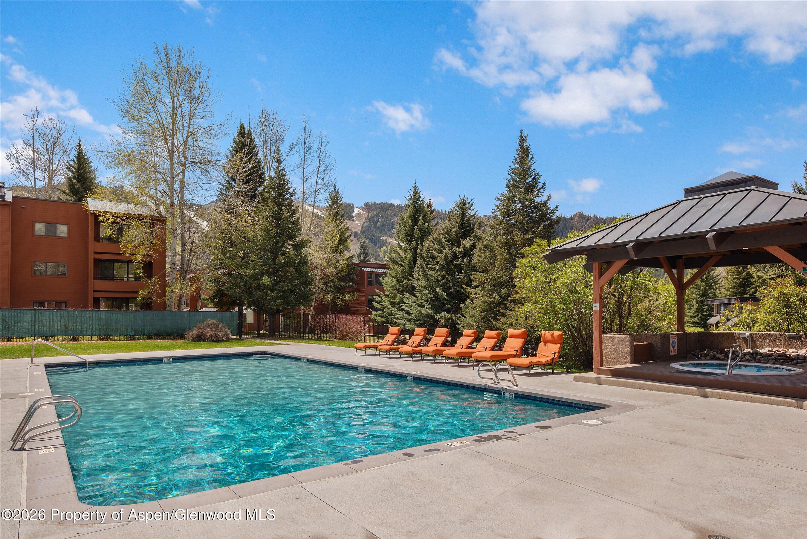 425 Vine Street Aspen CO 81611