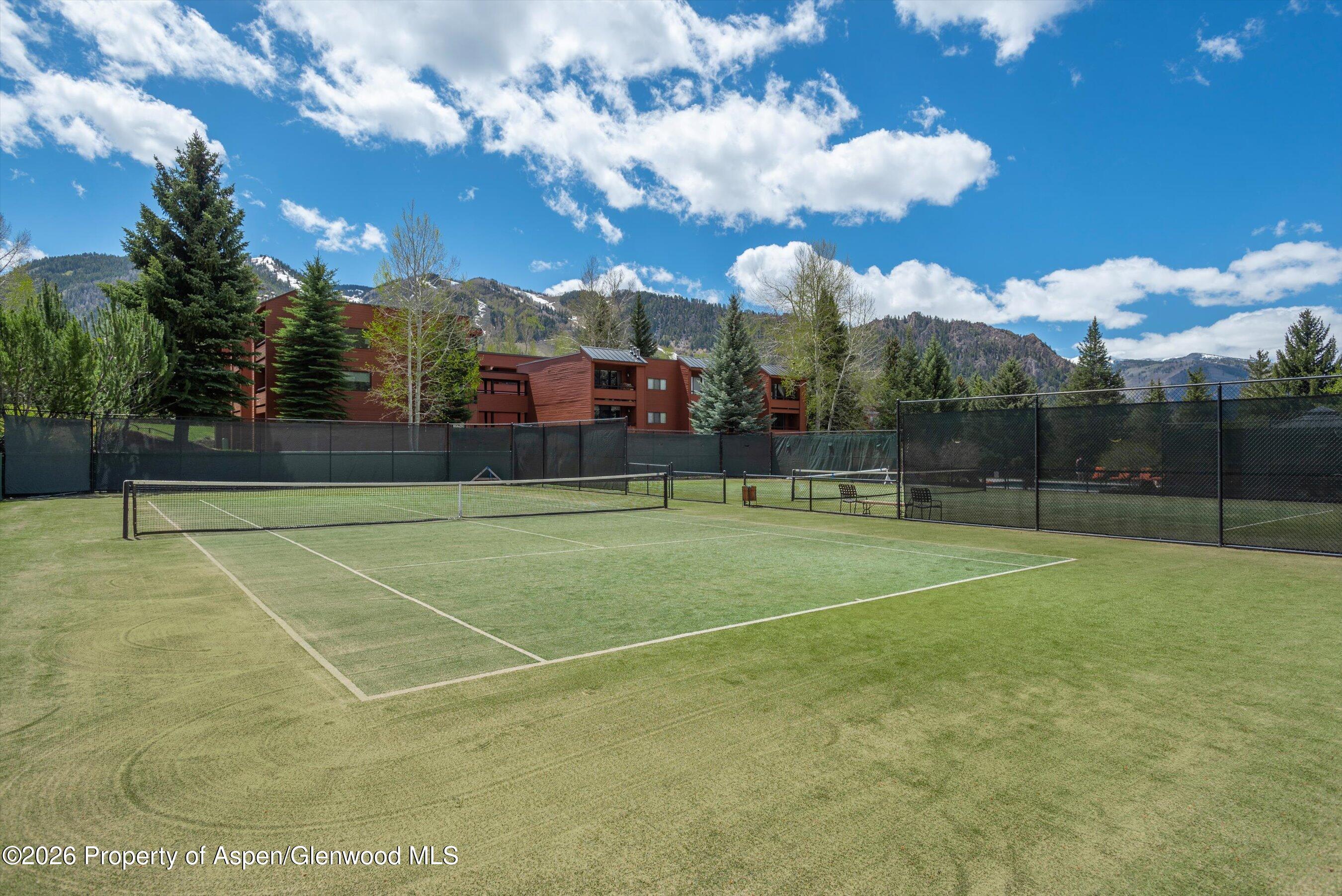 425 Vine Street Aspen CO 81611
