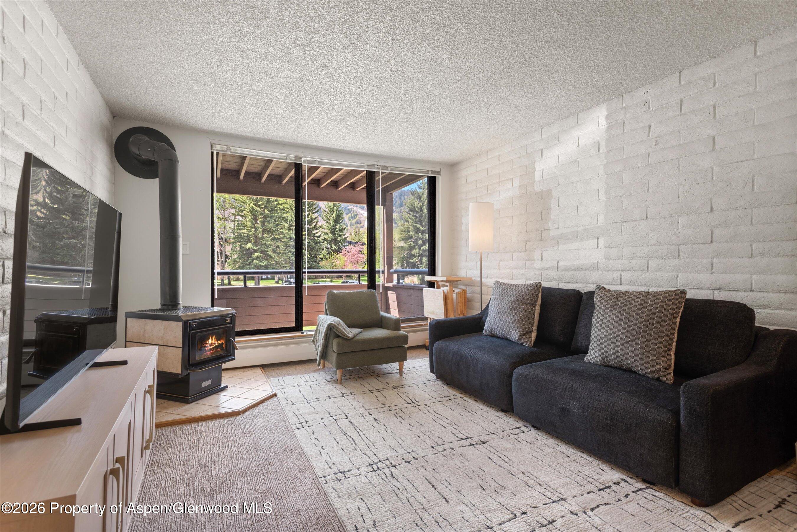 425 Vine Street Aspen CO 81611