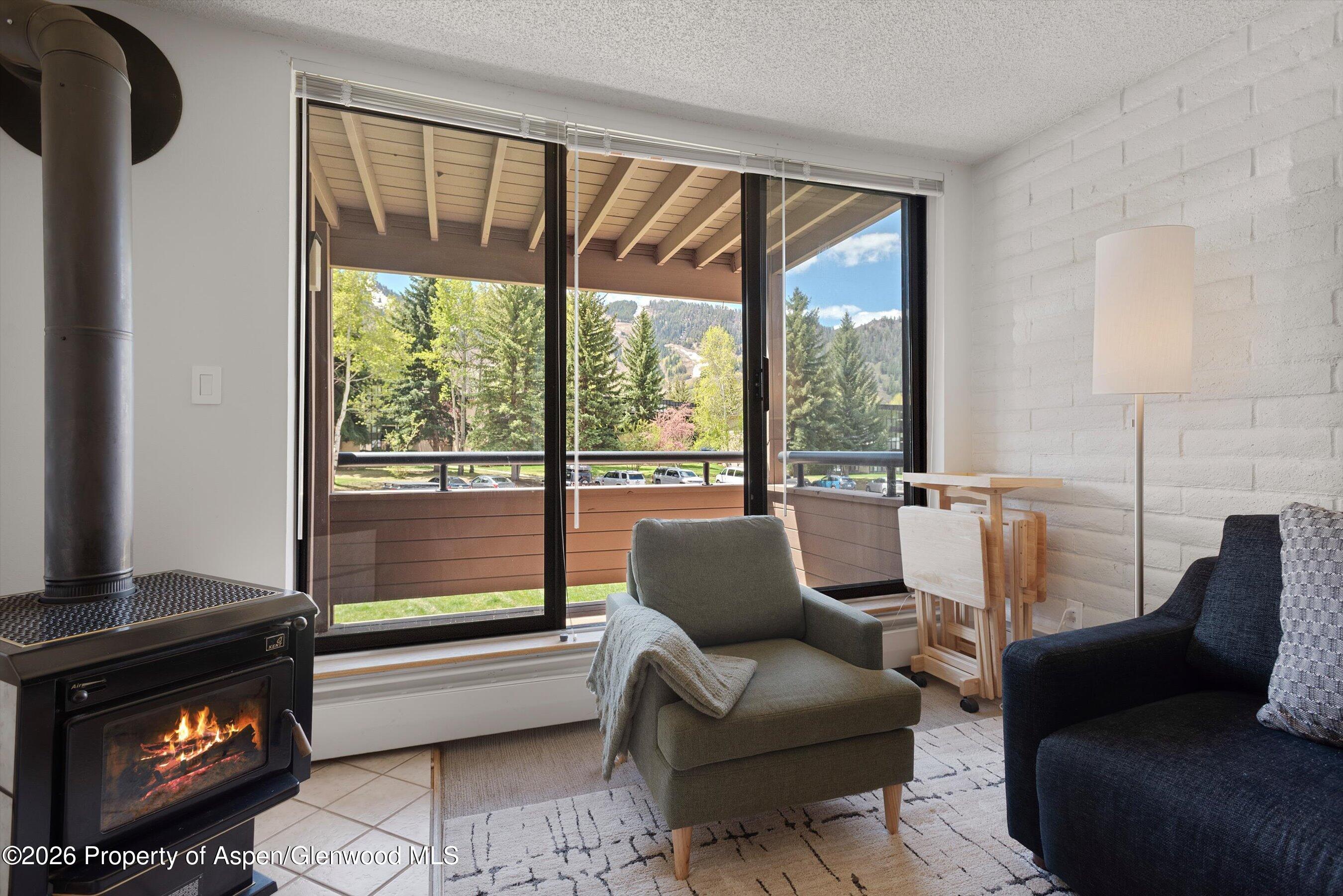 425 Vine Street Aspen CO 81611