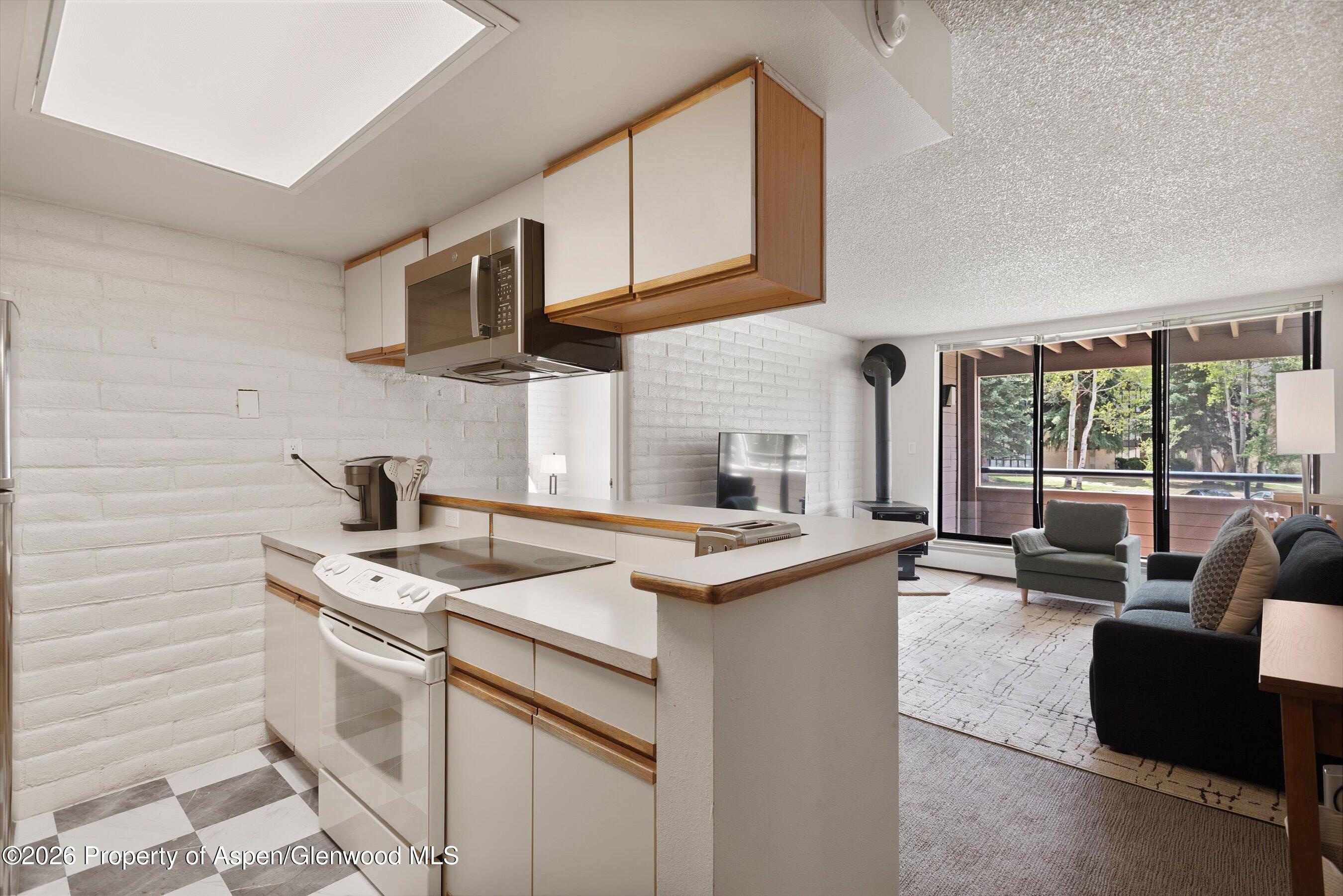 425 Vine Street Aspen CO 81611
