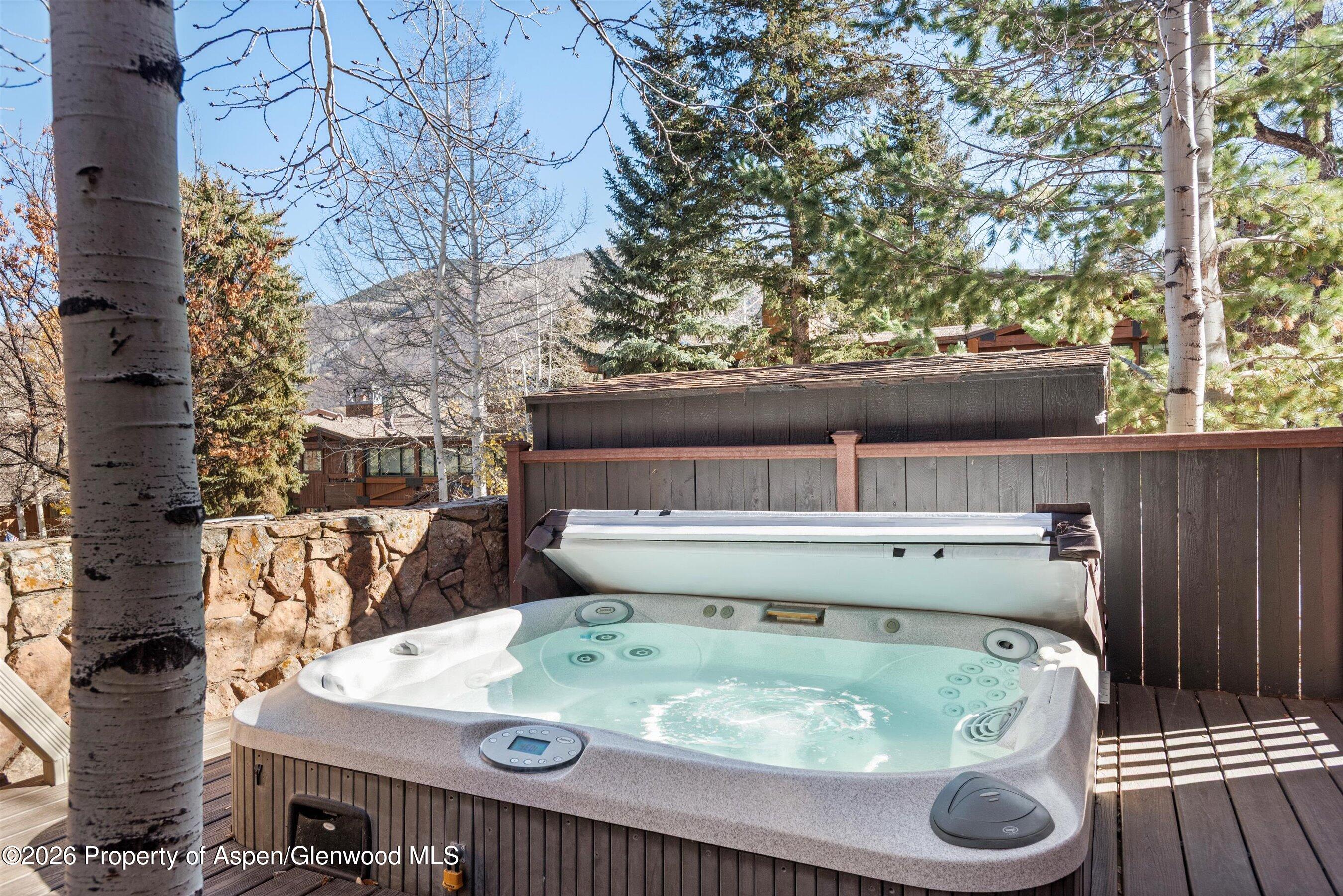 731 S Mill Street Aspen CO 81611