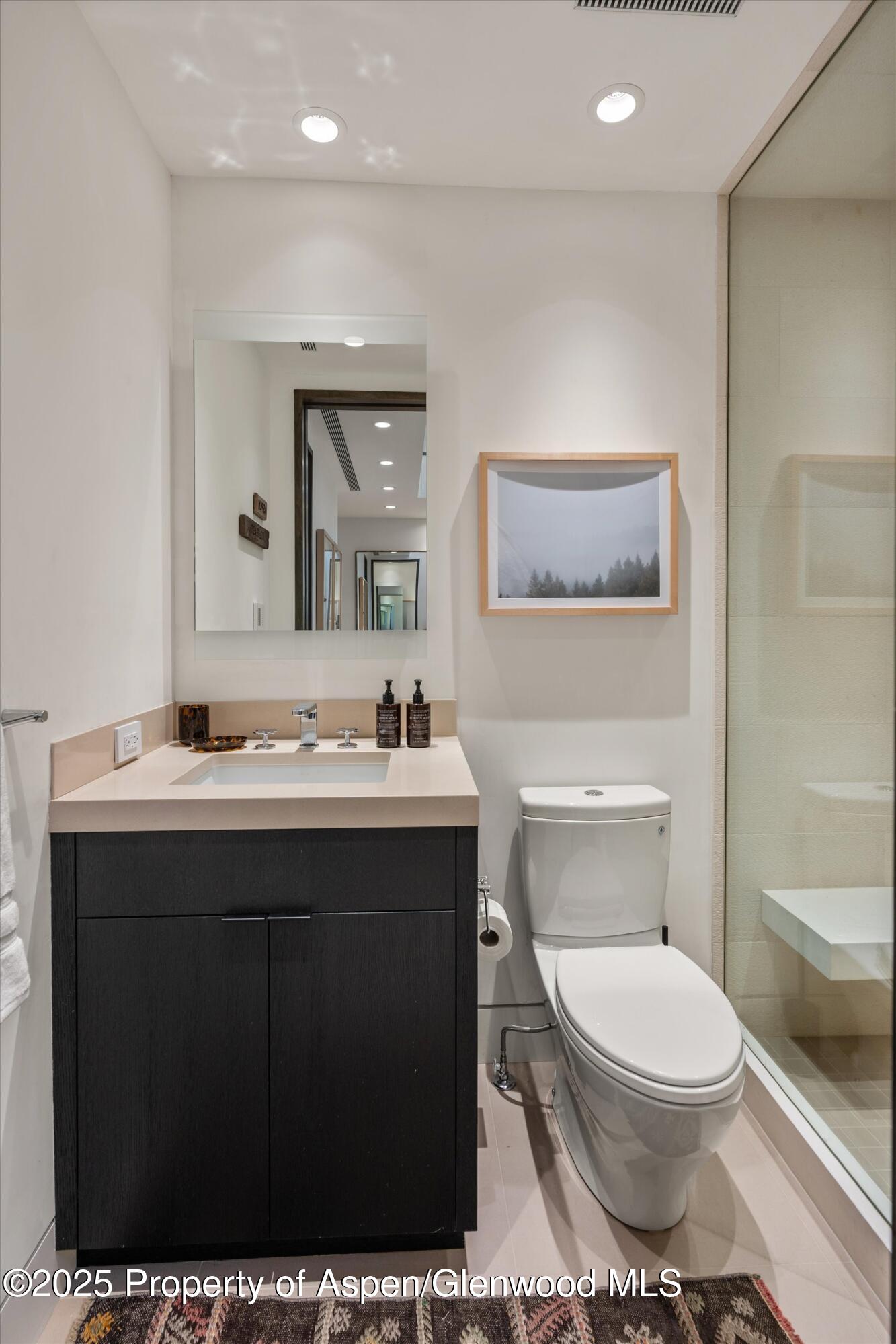 155 Lone Pine Road Aspen CO 81611