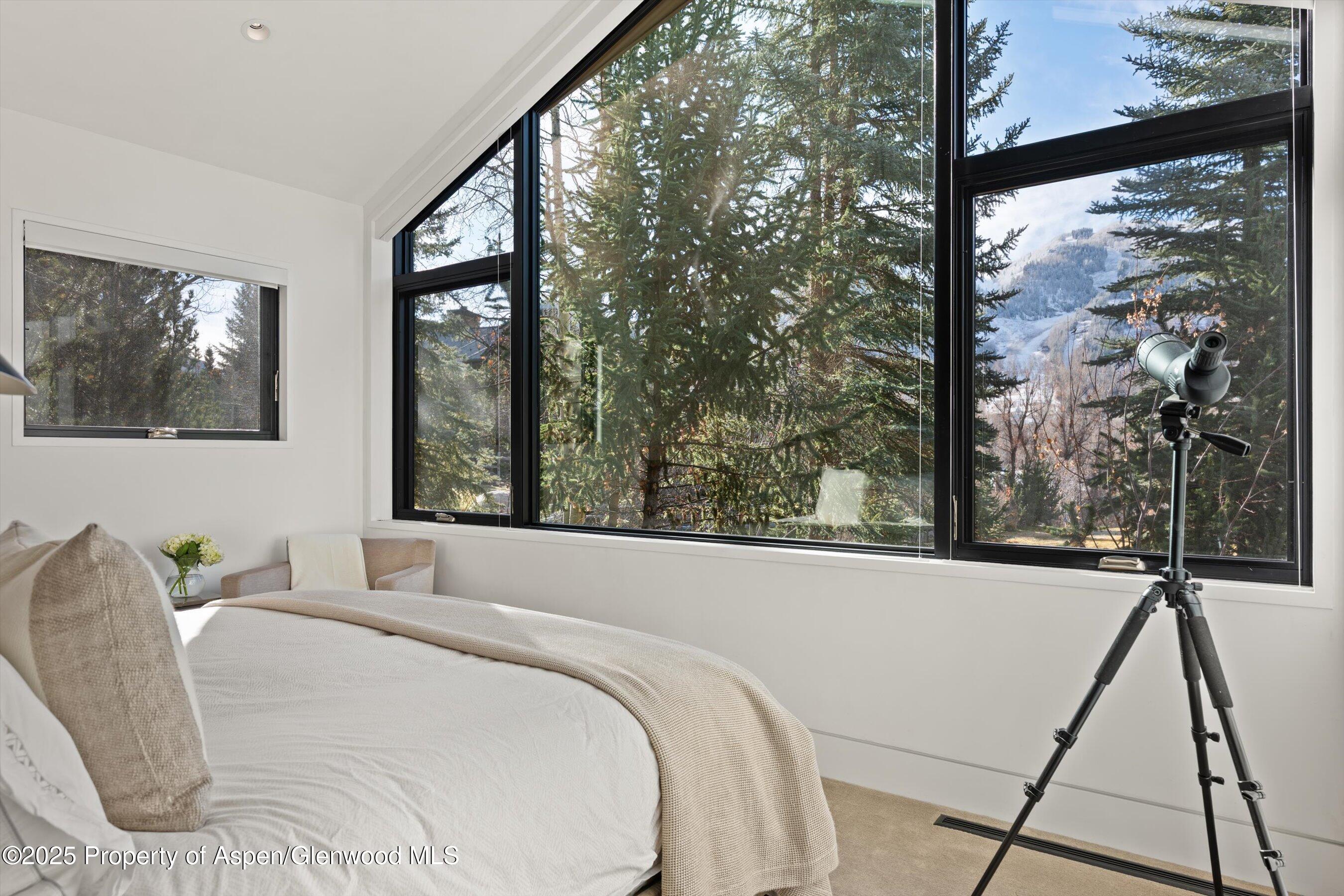 155 Lone Pine Road Aspen CO 81611