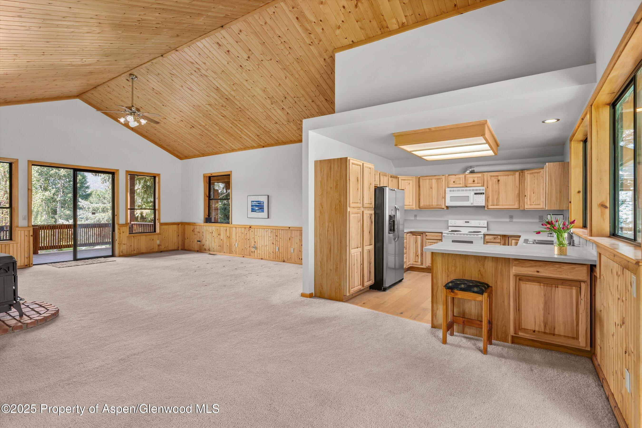 17 Dakota Court Carbondale CO 81623